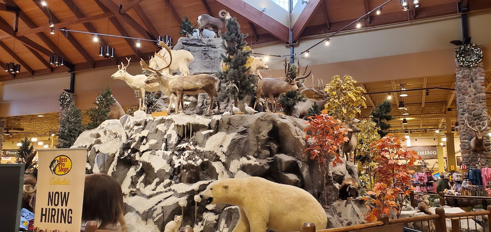 cabelas-3