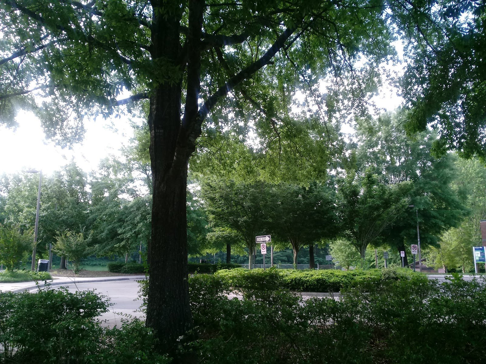 campus-hills-park-4