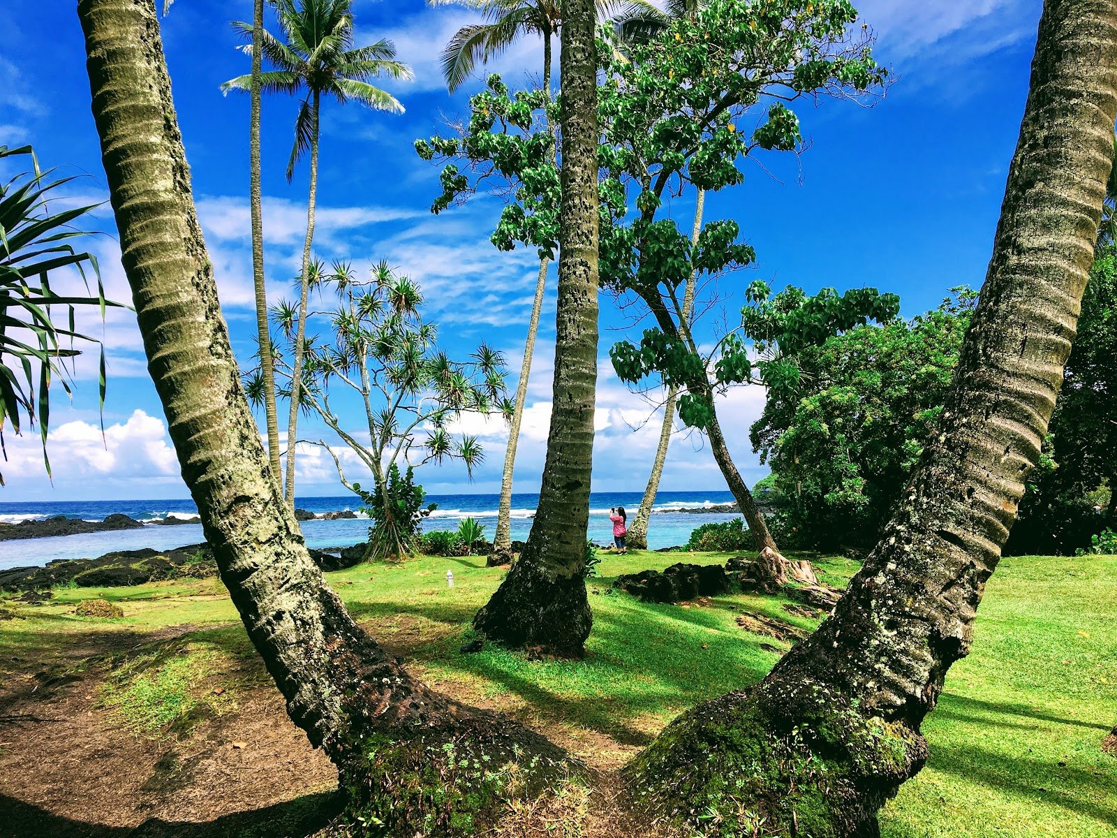 carlsmith-beach-park-3