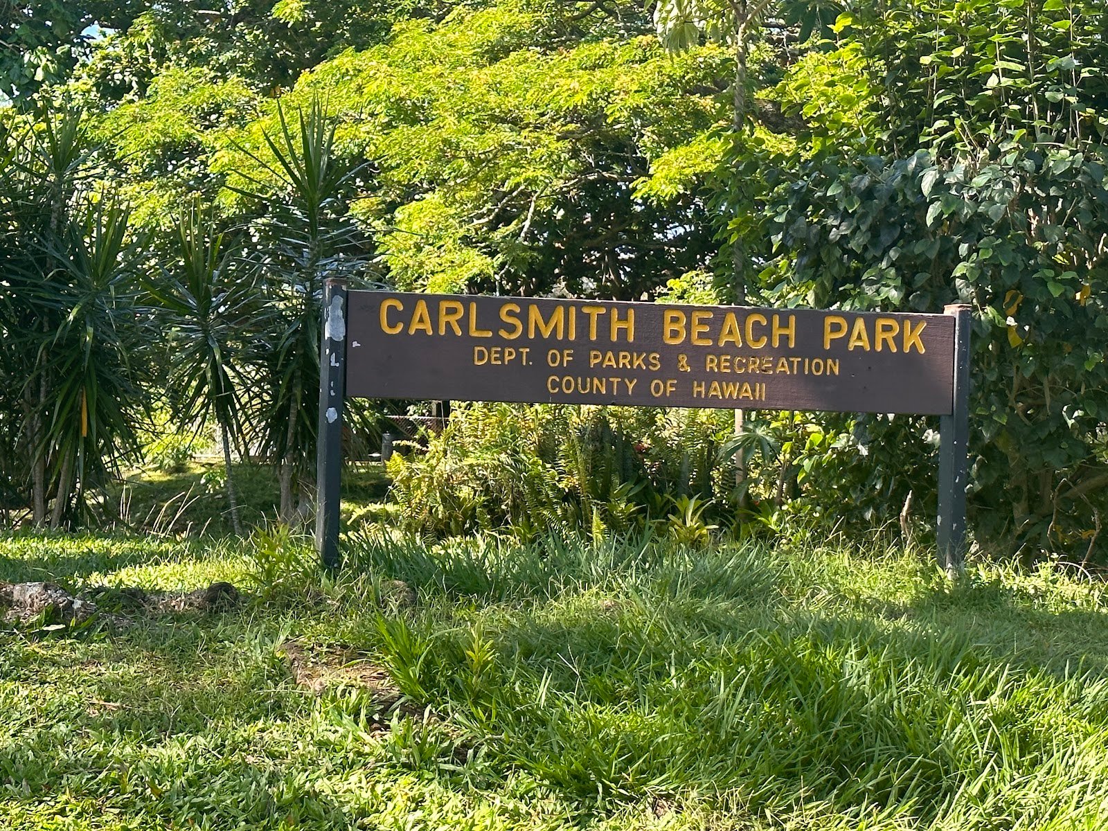 carlsmith-beach-park-4