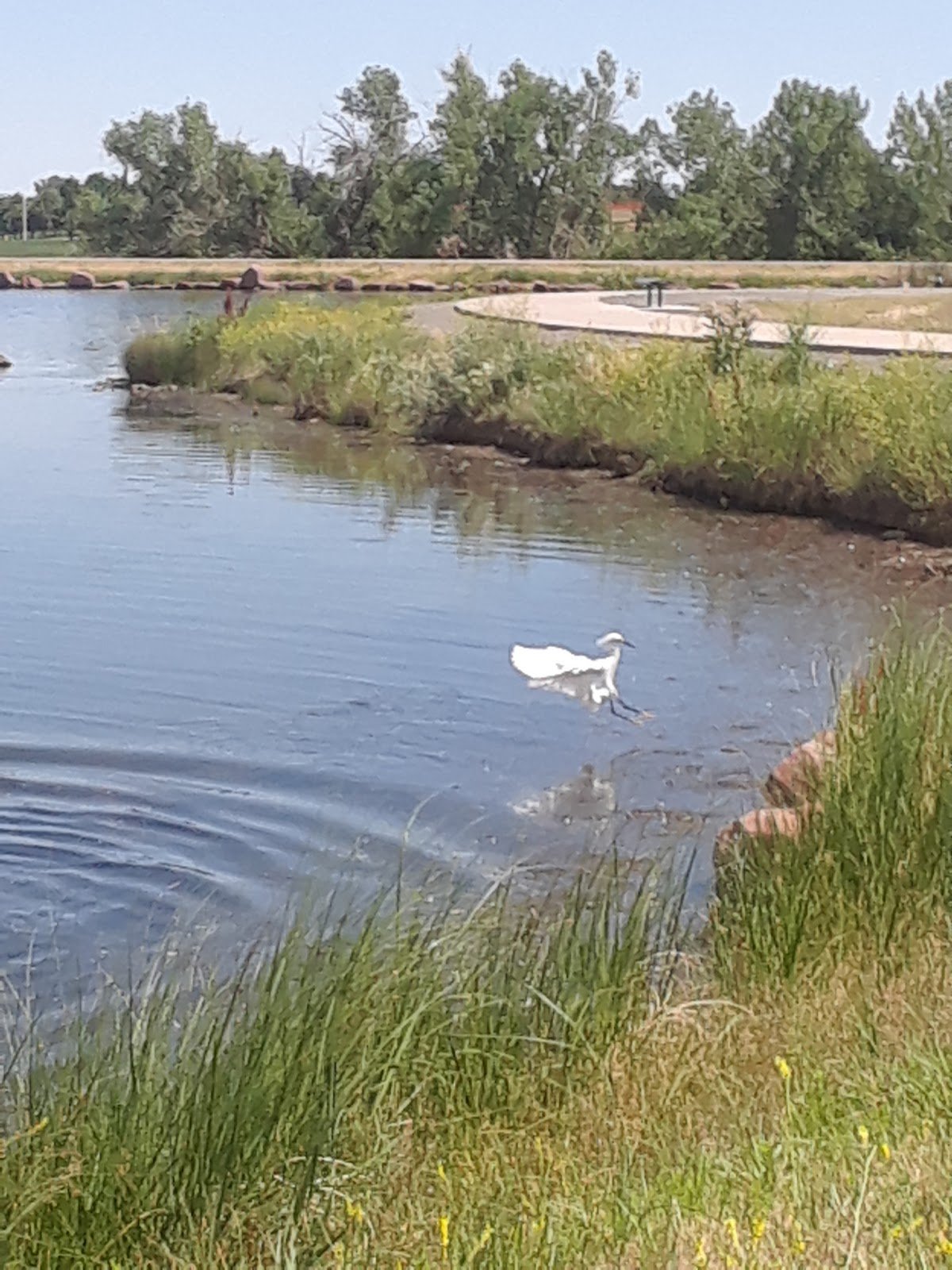 carpenter-park-boathouse-3