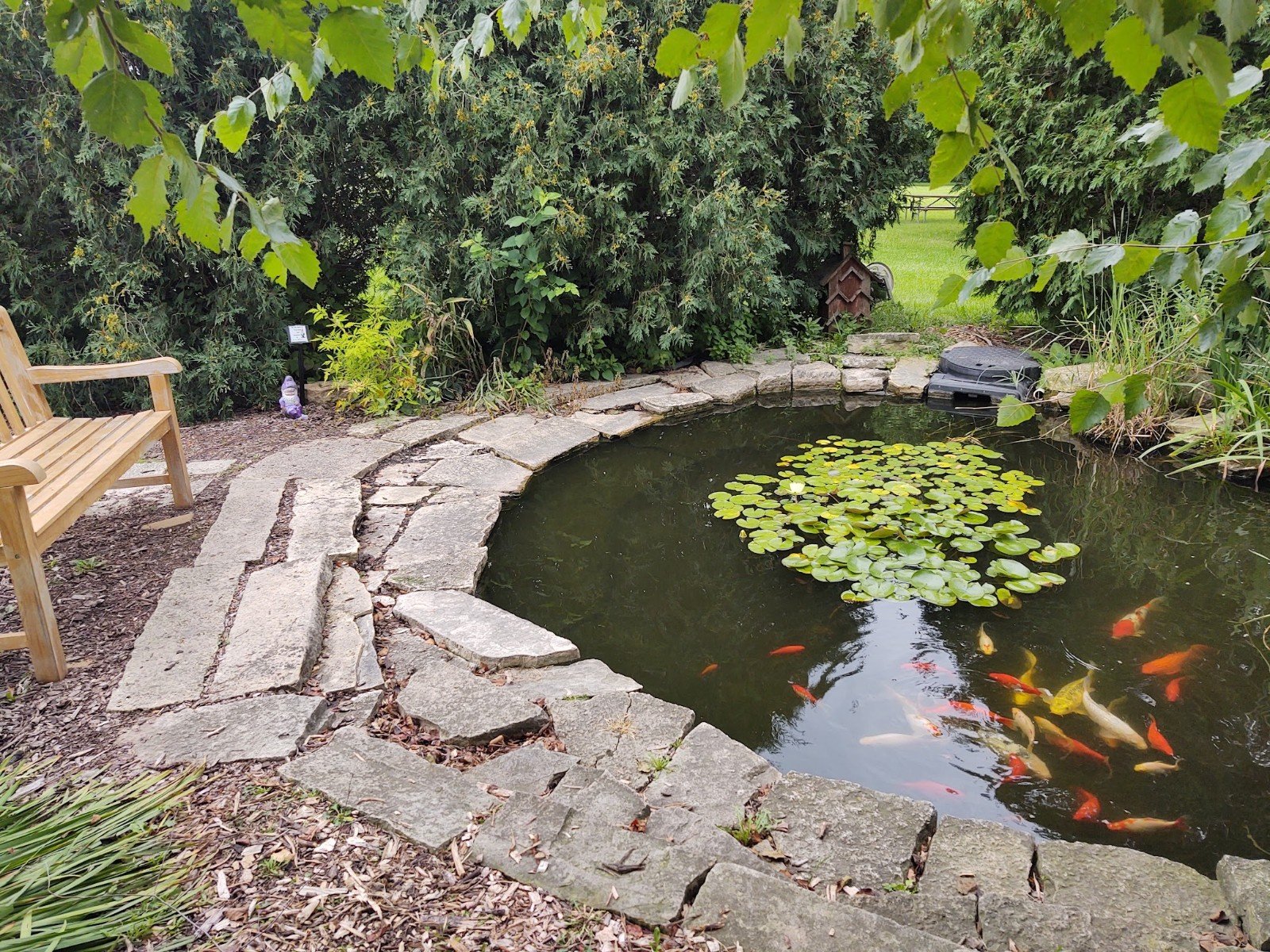 cedar-valley-arboretum-botanic-gardens-3