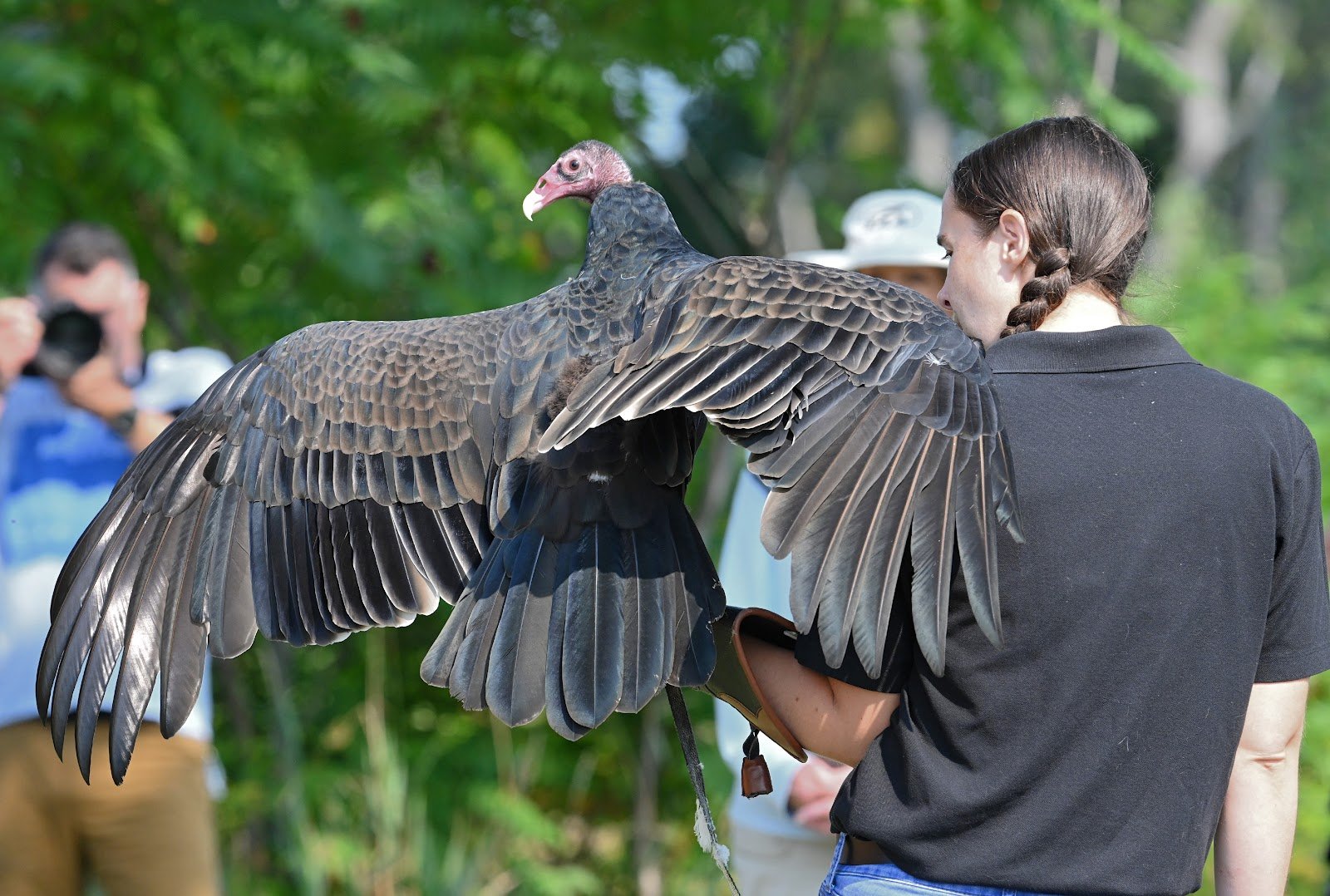 center-for-wildlife-2