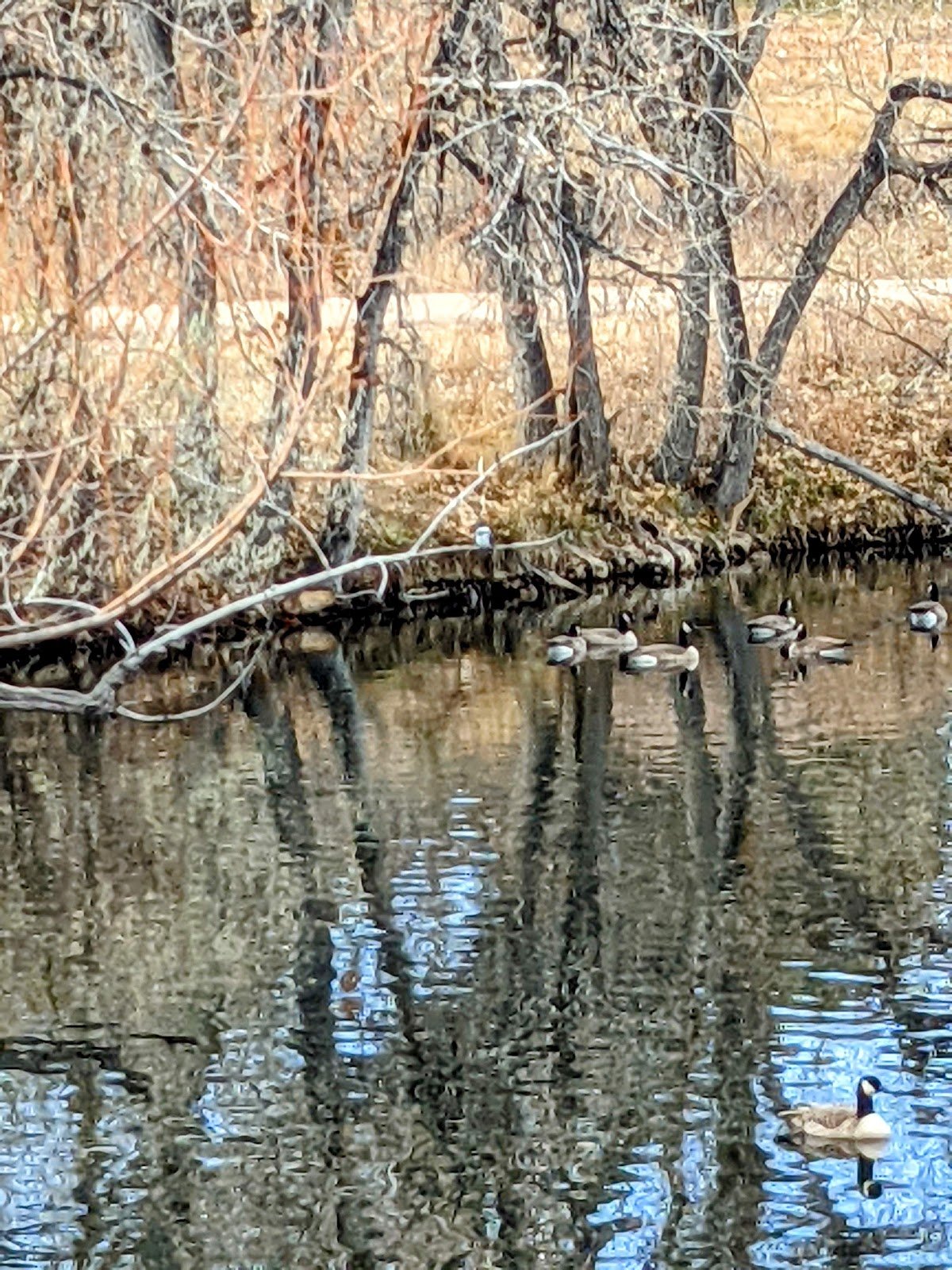 cherry-knolls-park-4