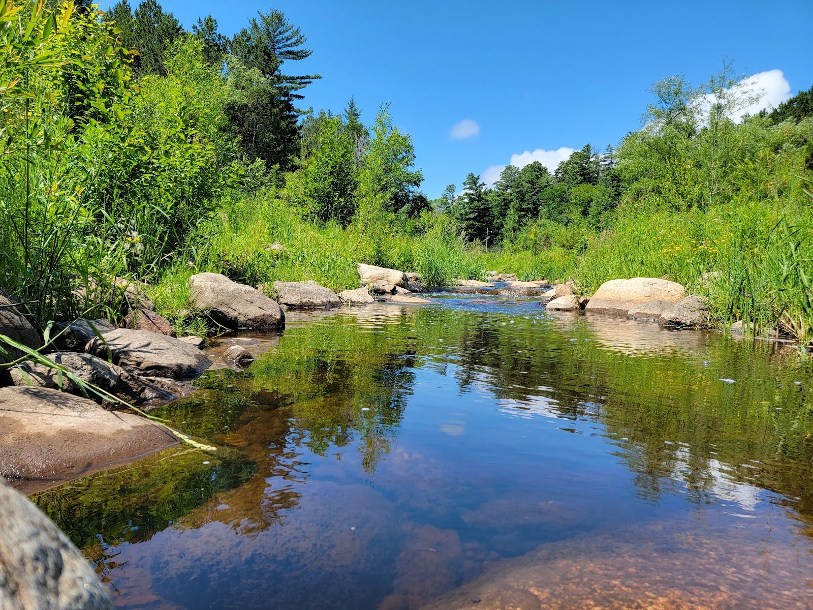 chester-park-playground-1