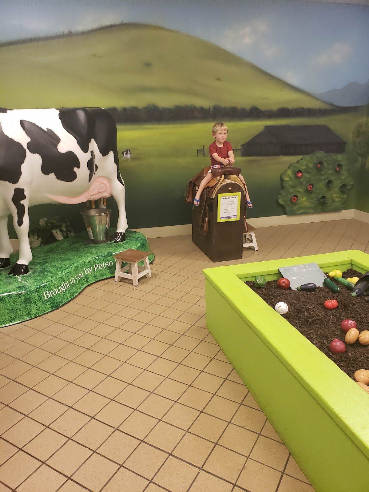 childrens-museum-of-idaho-3