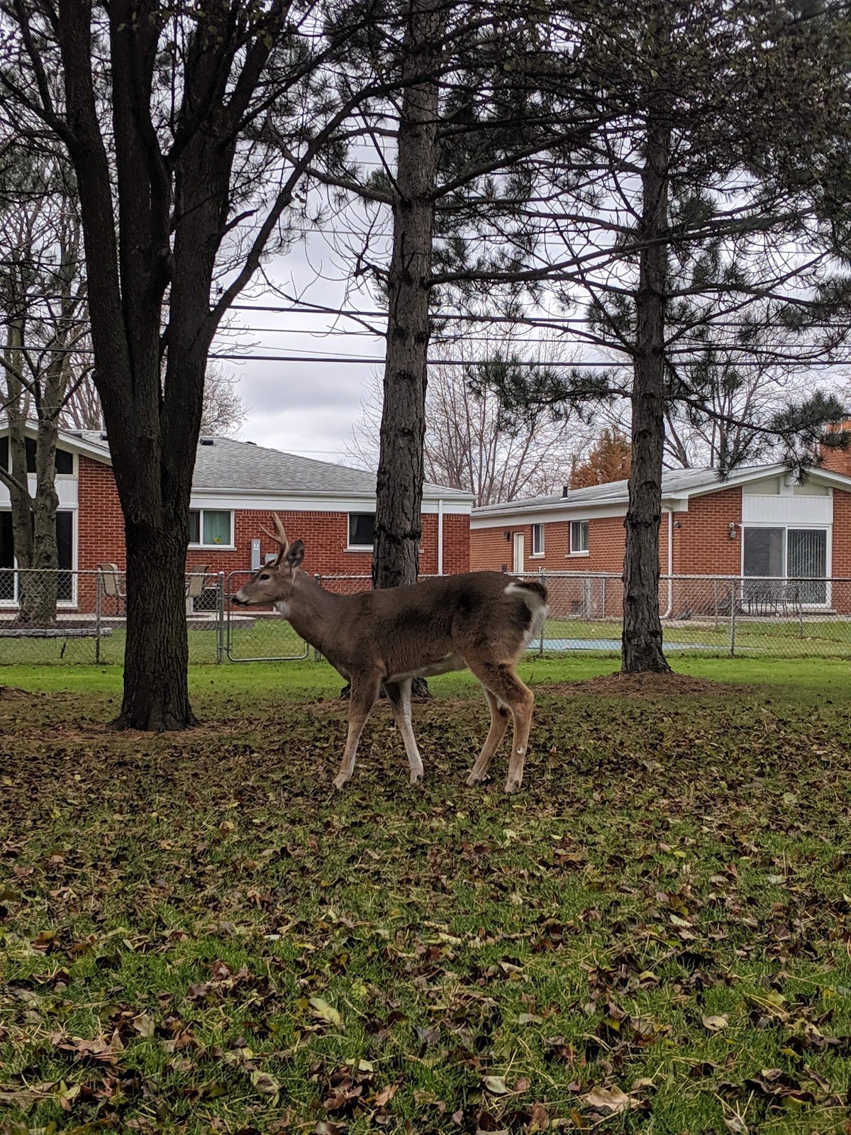 city-of-warren-hartsig-park-2