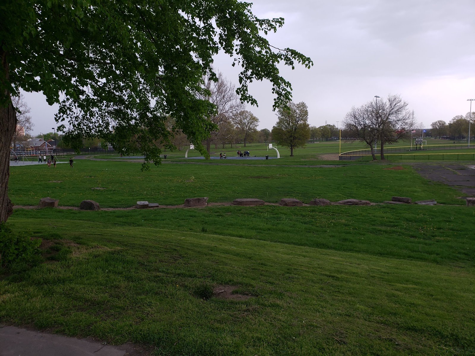 colt-park-3