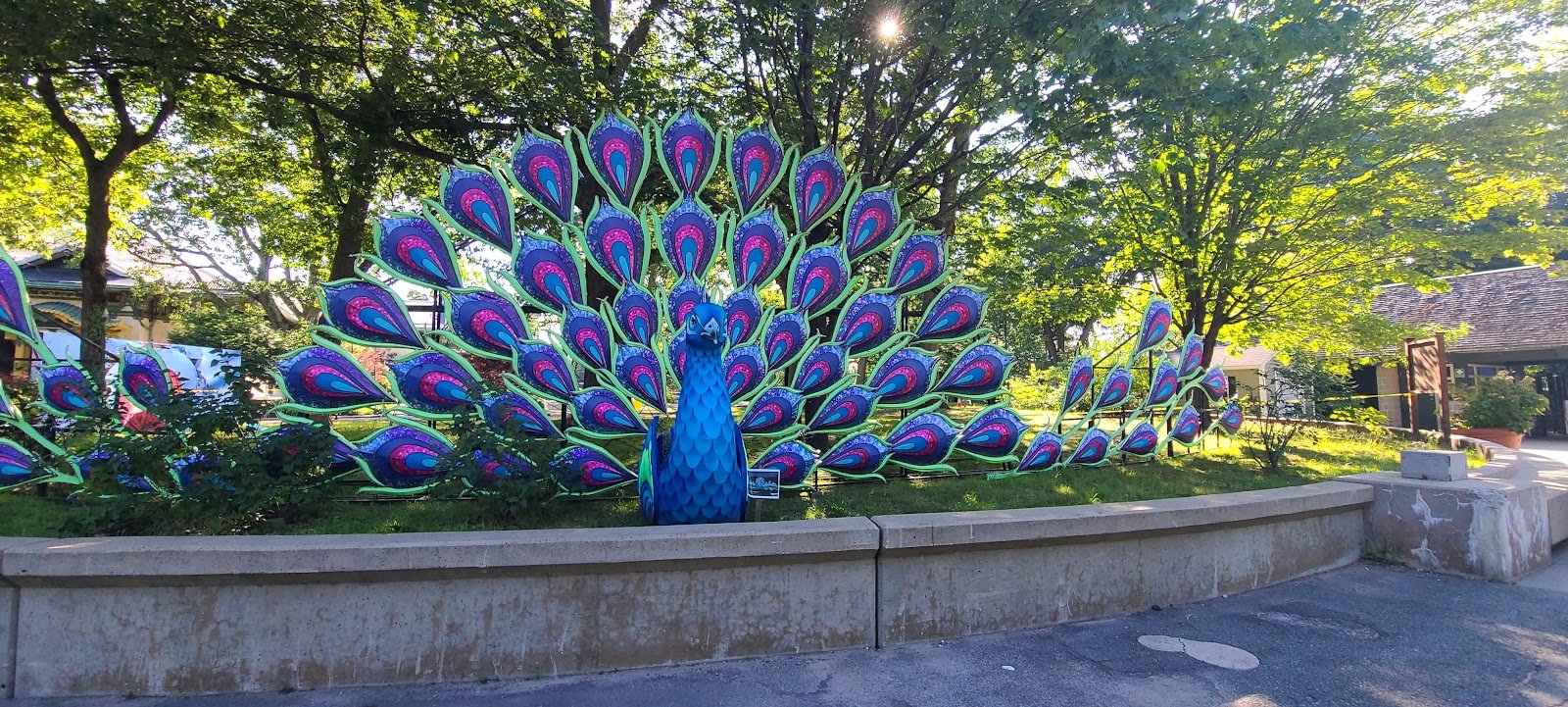 concord-playground-4