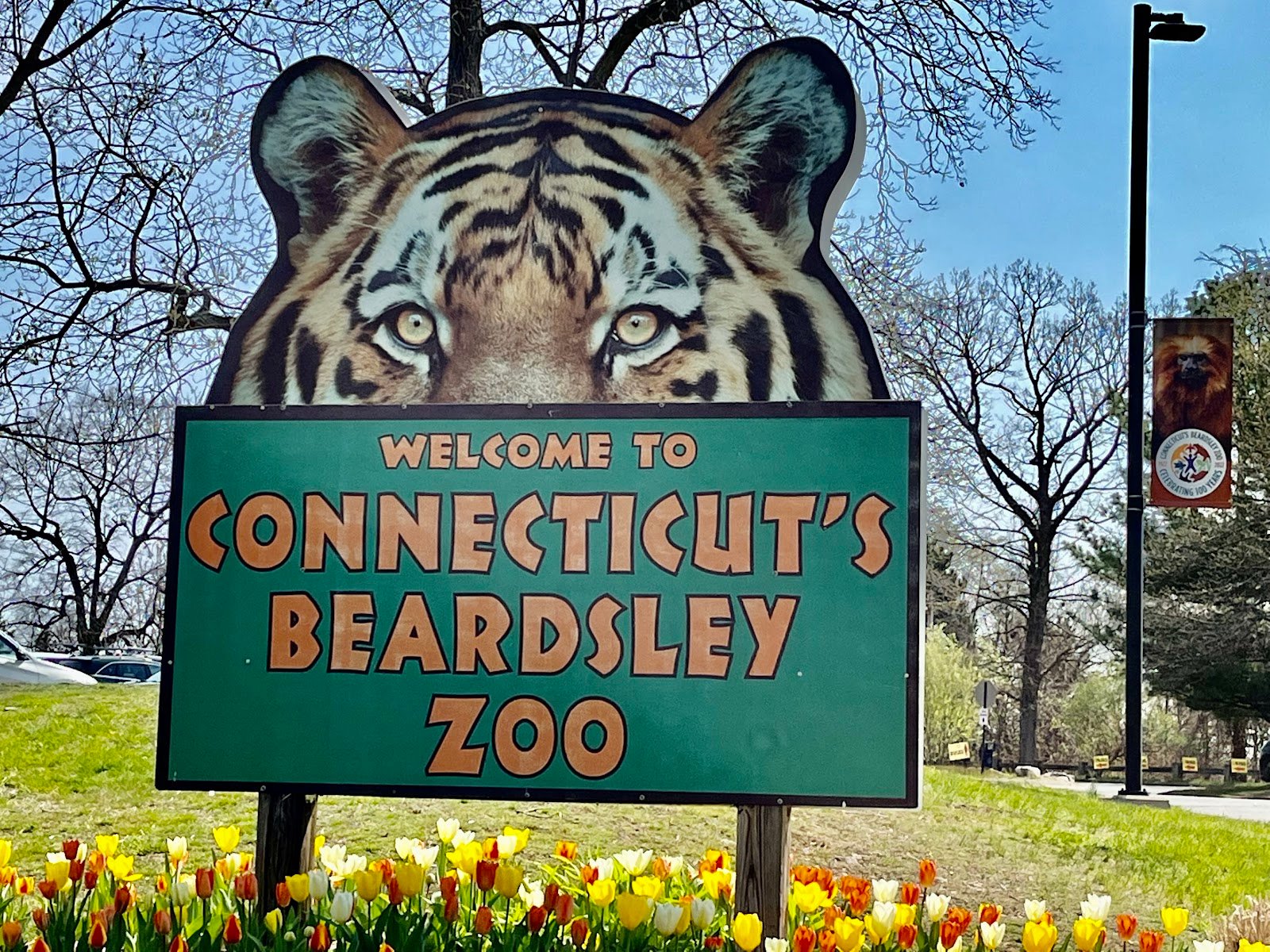 connecticuts-beardsley-zoo-1