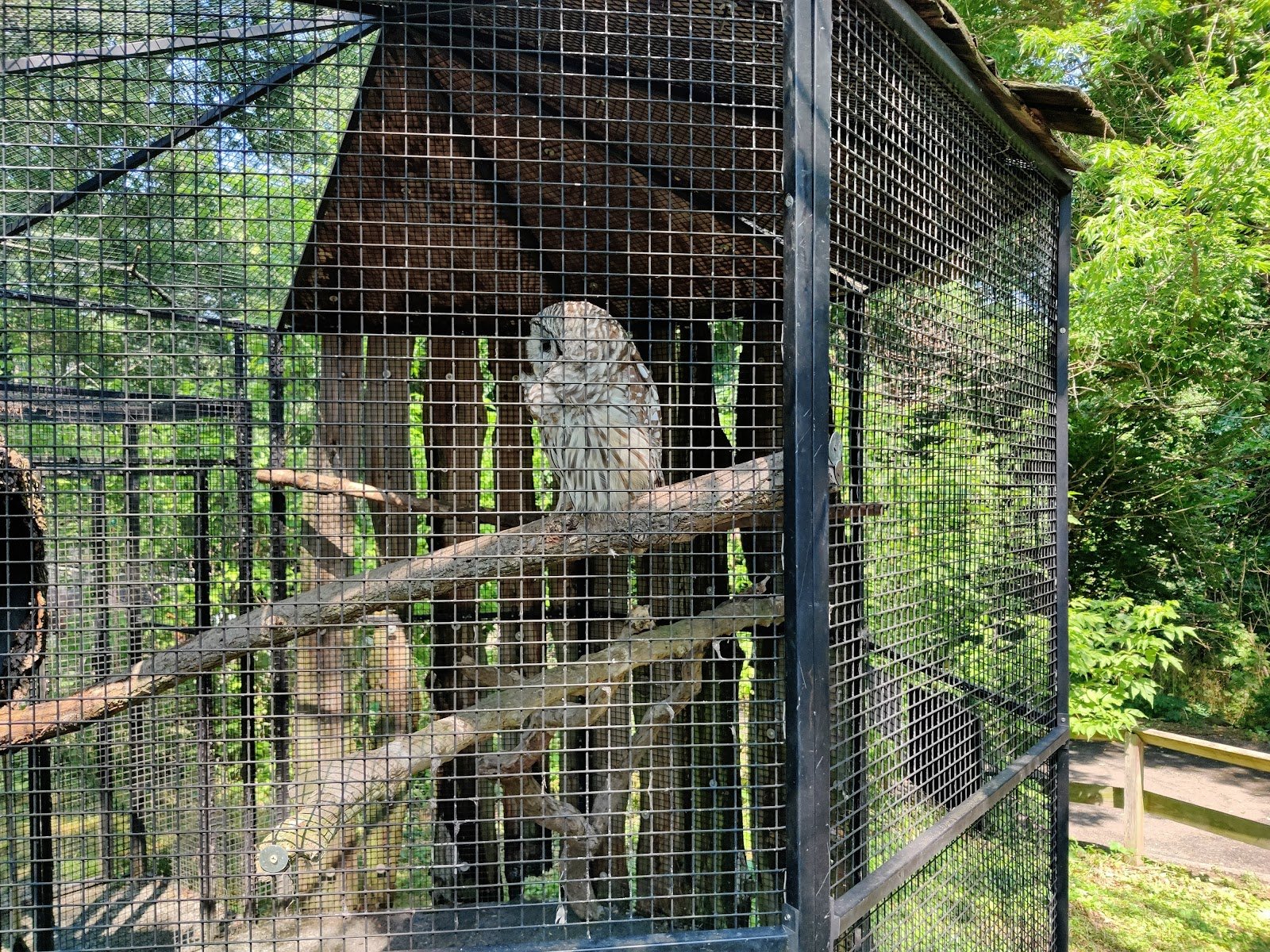 connecticuts-beardsley-zoo-4