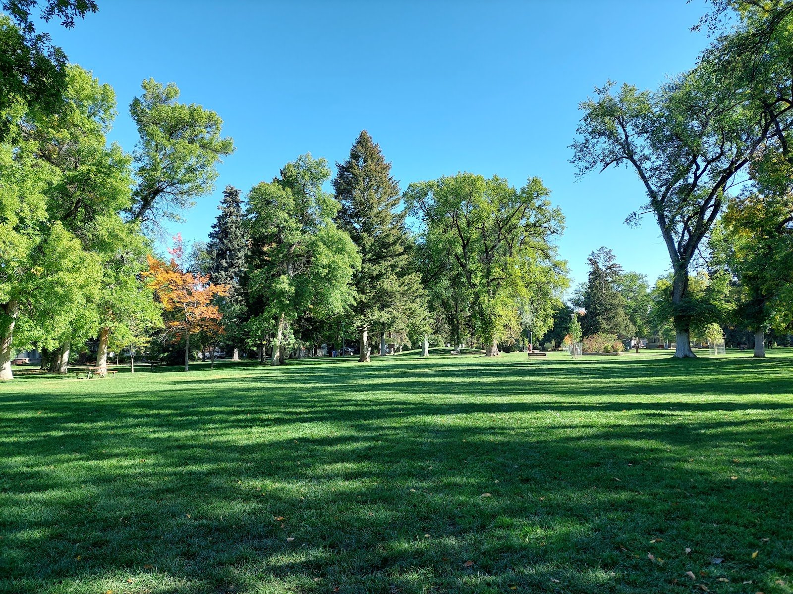 cooper-park-1