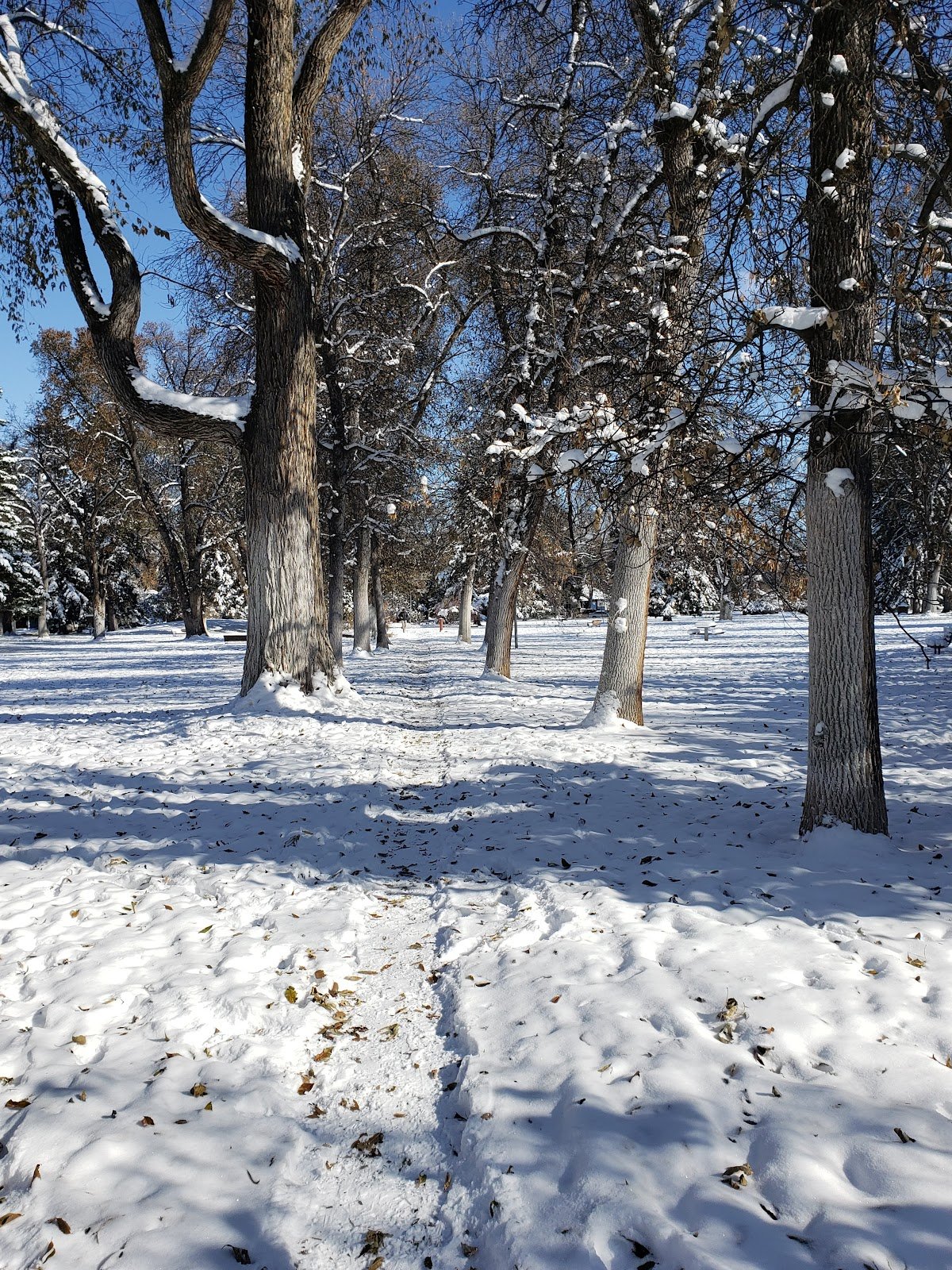 cooper-park-3