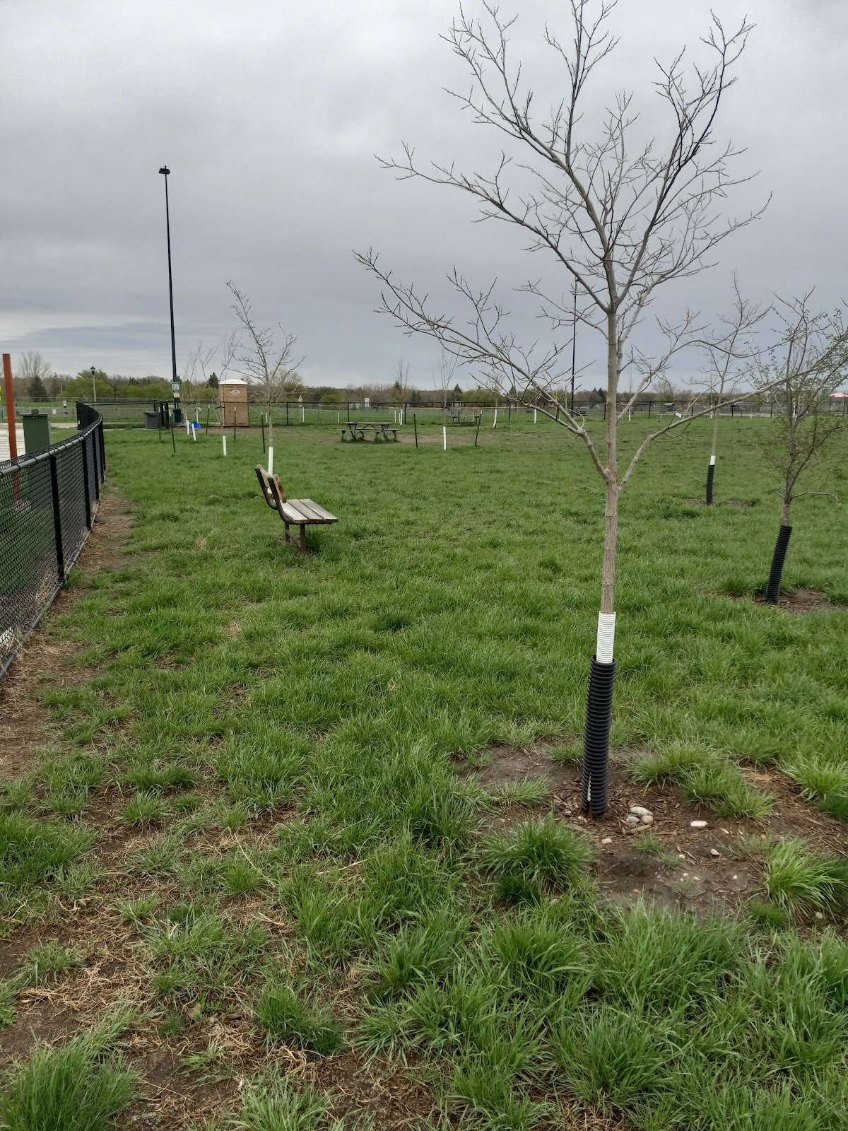 dakota-bark-park-1