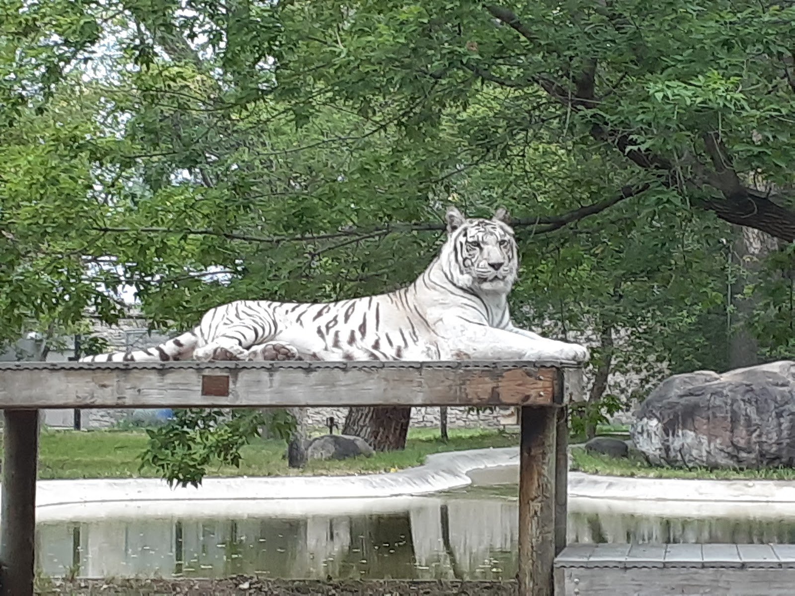 dakota-zoo-1