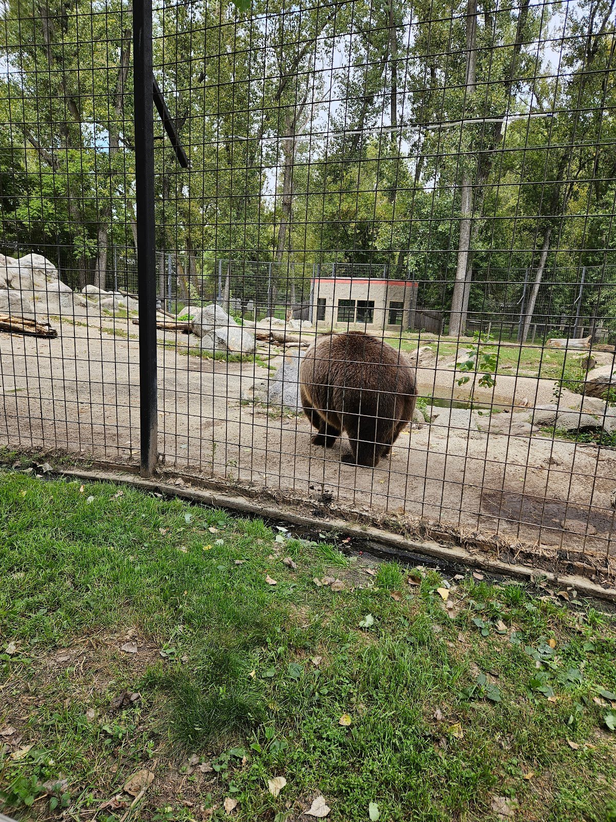 dakota-zoo-3