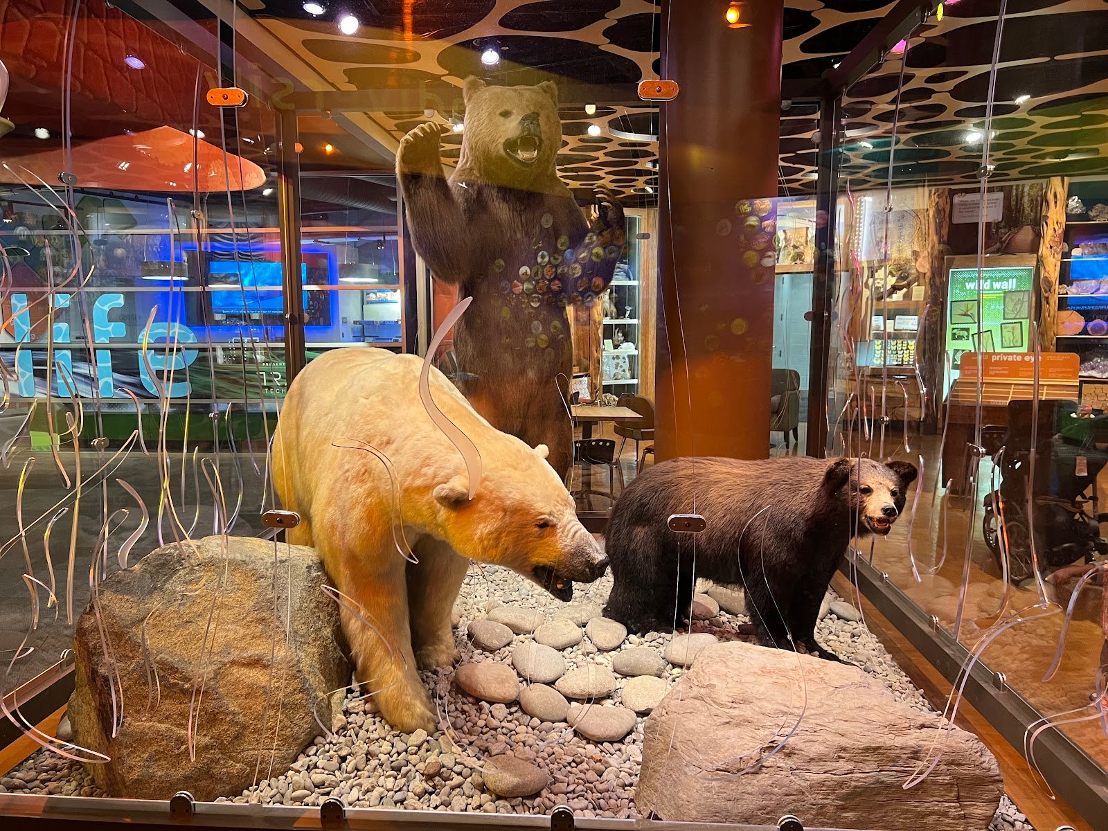 discovery-place-science-2