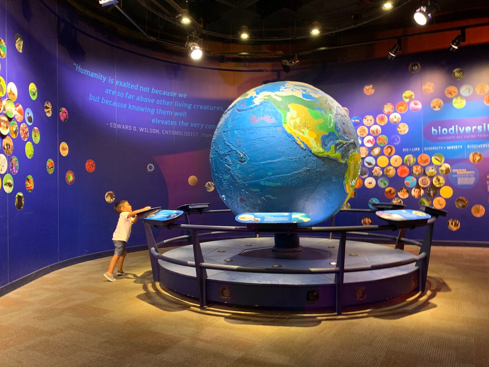 discovery-place-science-3