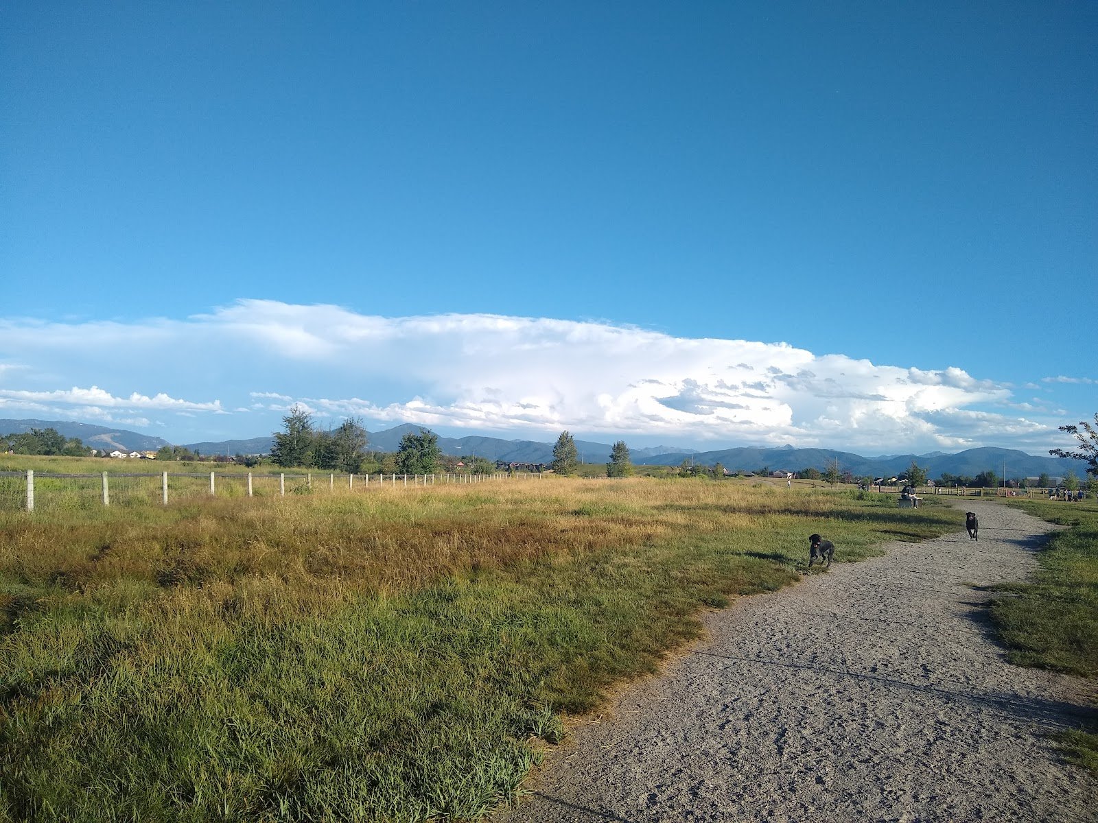 dog-park-at-gallatin-county-regional-park-13-acre-w-pond-1
