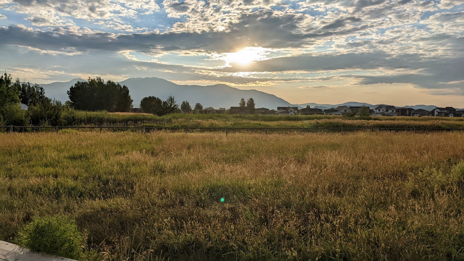 dog-park-at-gallatin-county-regional-park-13-acre-w-pond-4