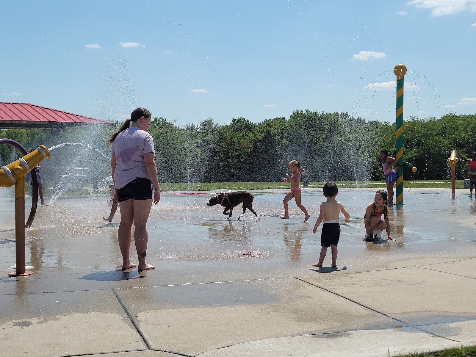 dornwood-park-2