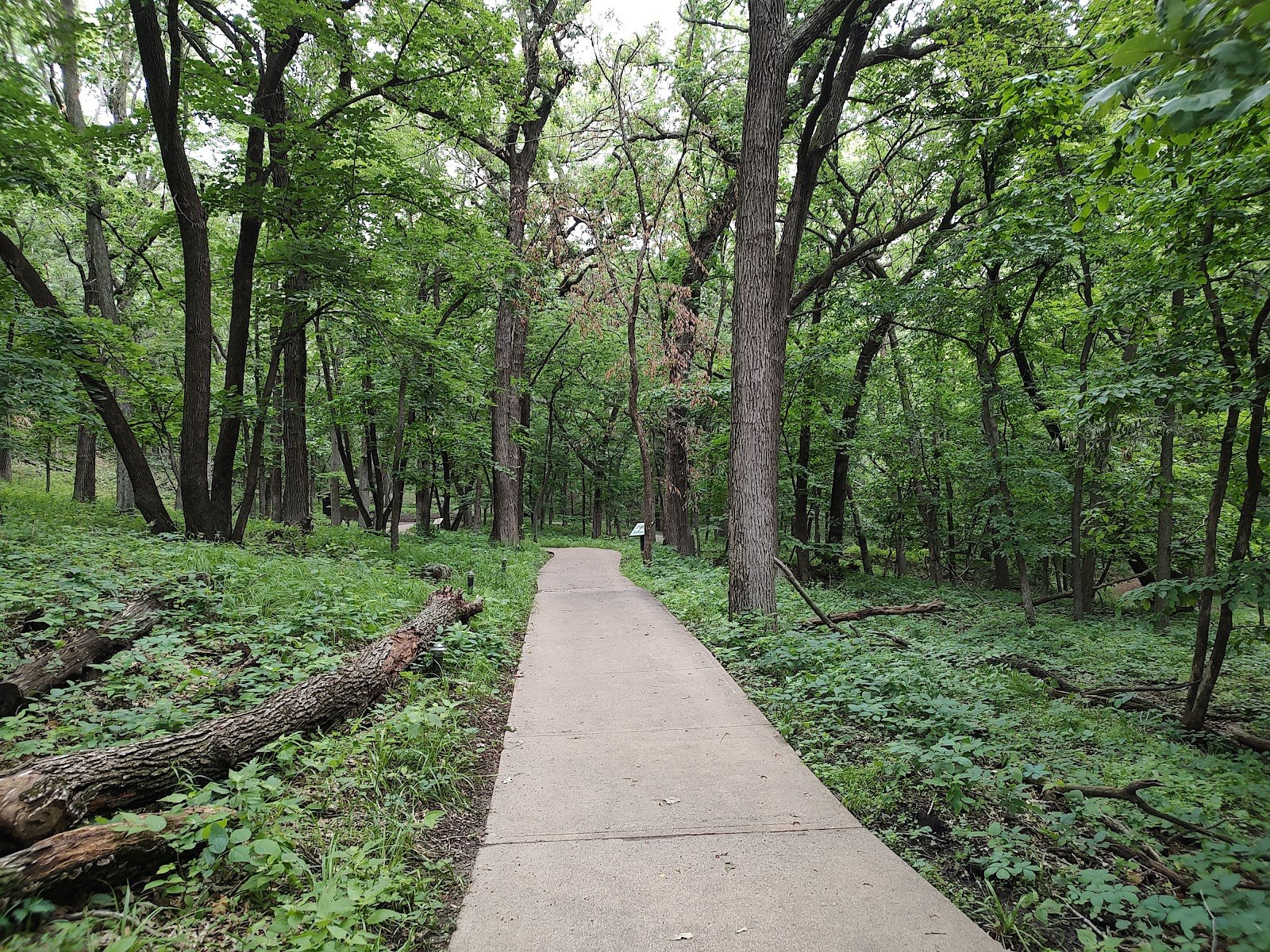 dorothy-pecaut-nature-center-2