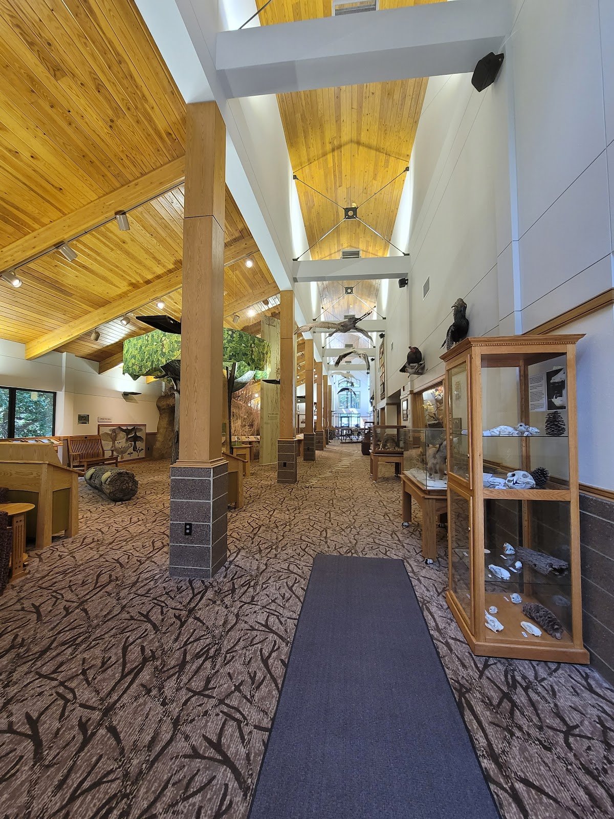 dorothy-pecaut-nature-center-3