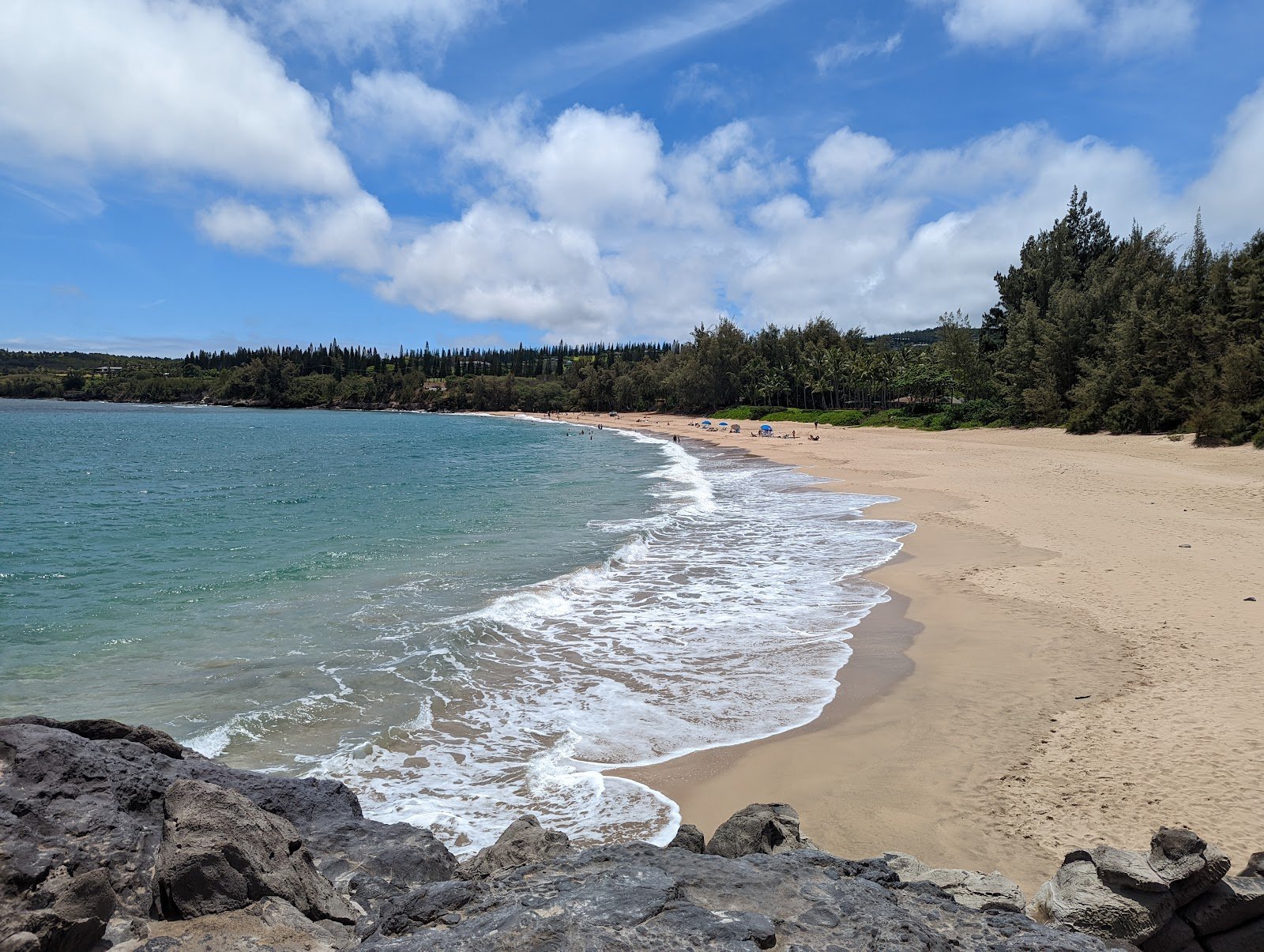 dt-fleming-beach-park-1