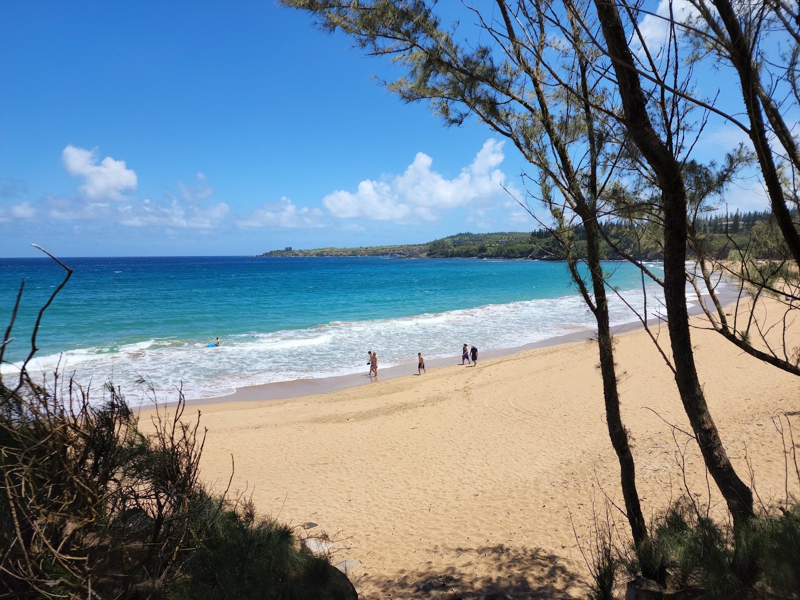 dt-fleming-beach-park-2