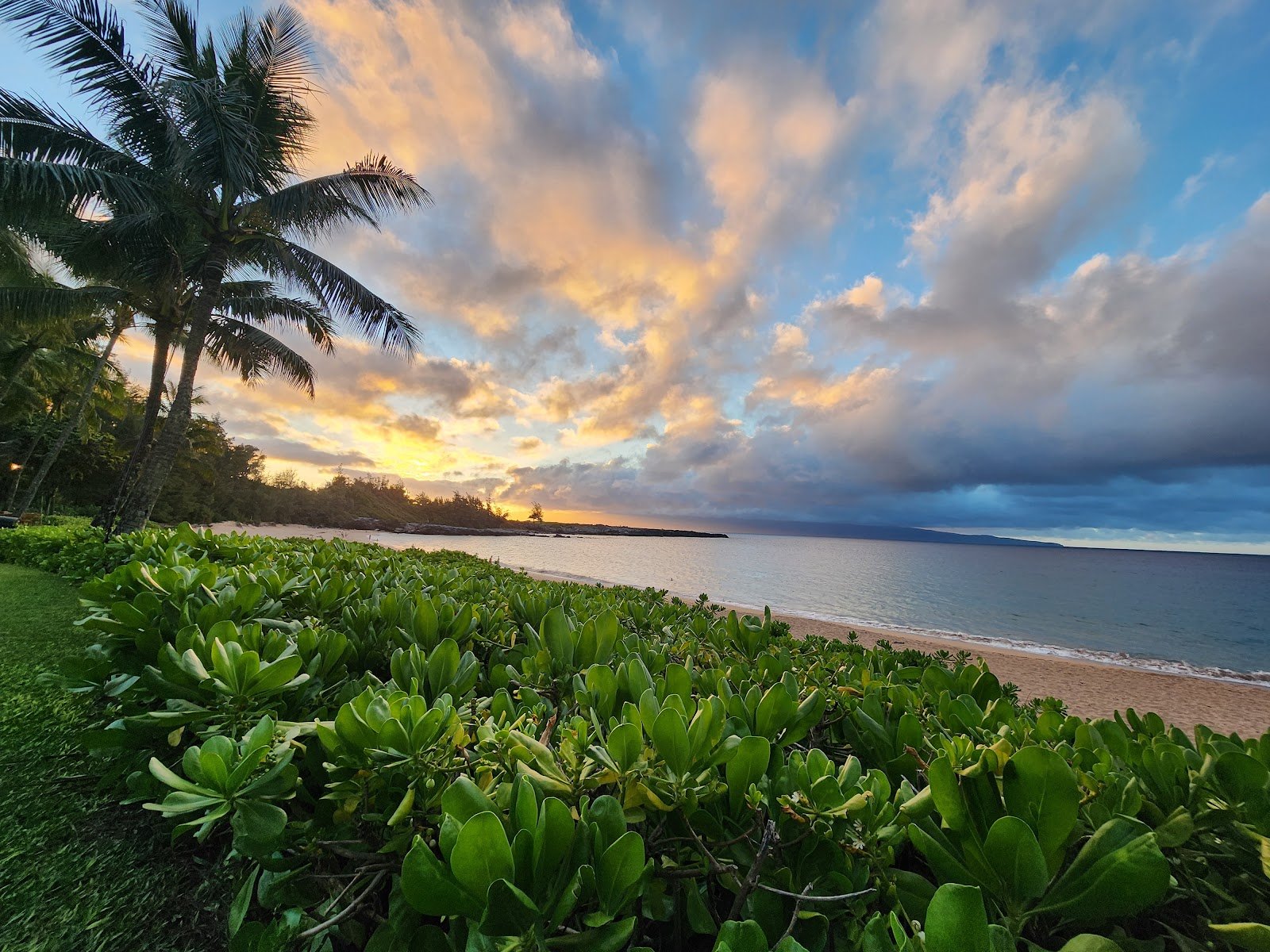 dt-fleming-beach-park-3