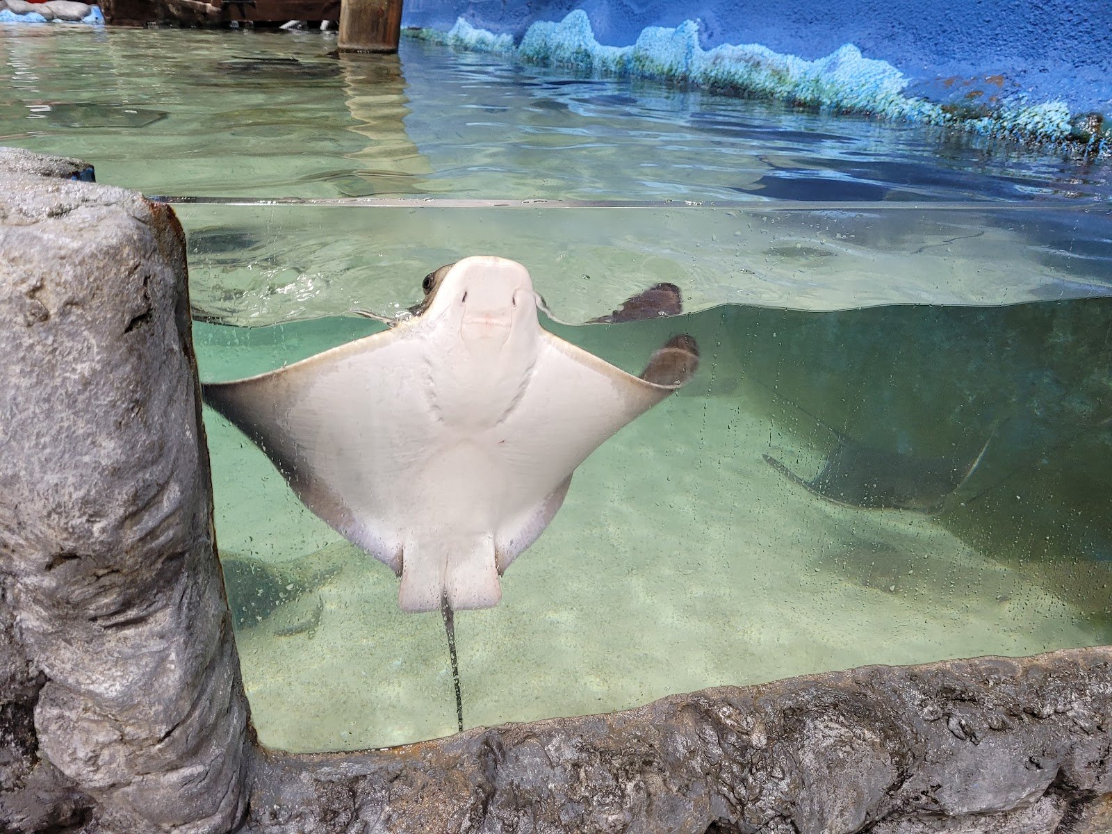 east-idaho-aquarium-4