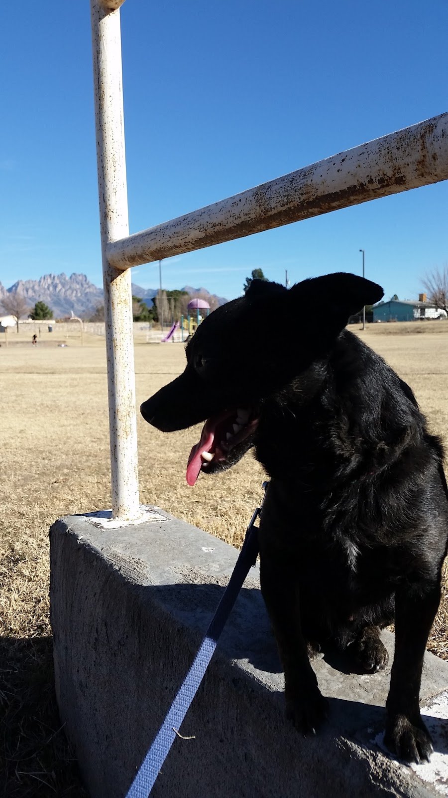 east-mesa-recreation-center-3