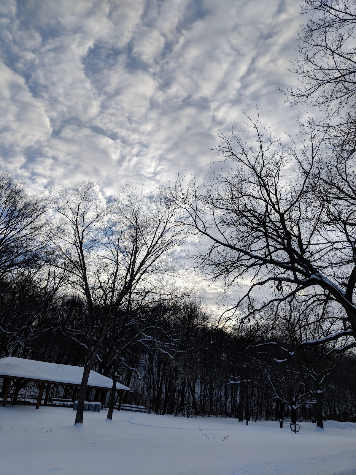 emma-mccarthy-lee-park-2