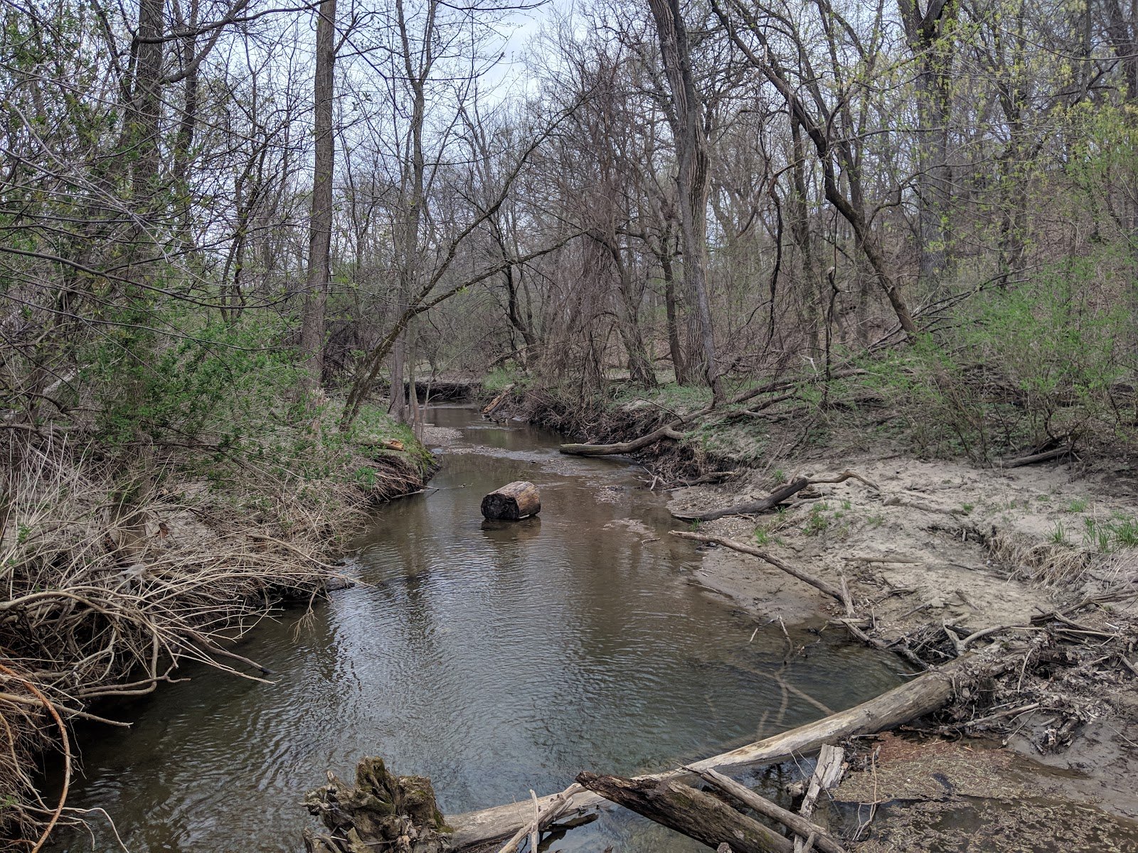 emma-mccarthy-lee-park-3