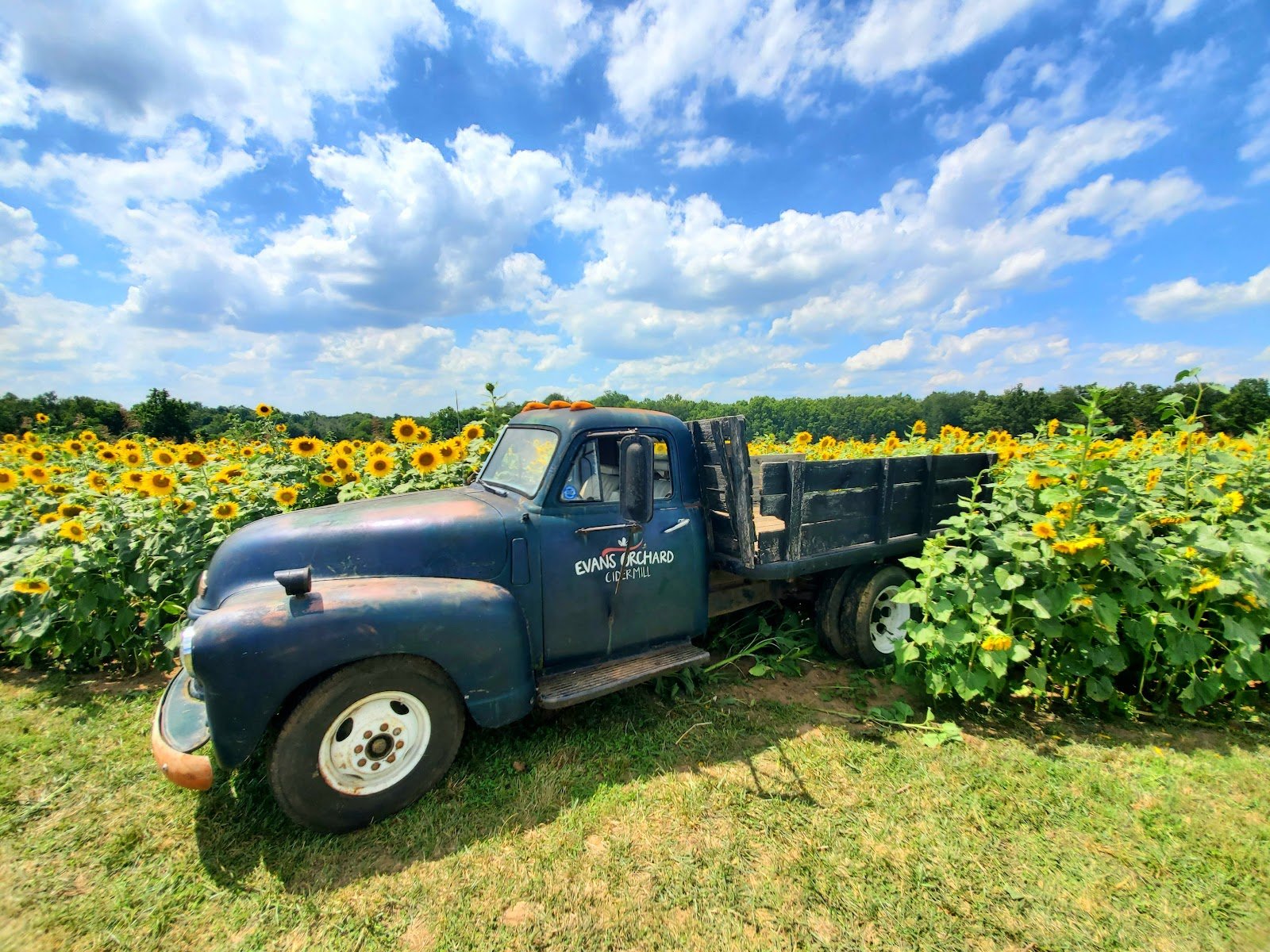 evans-orchard-and-cider-mill-4