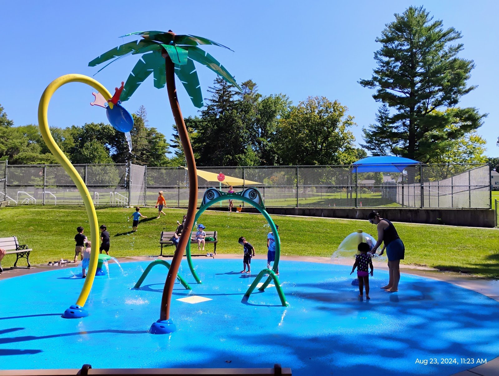 fernridge-park-and-pool-1
