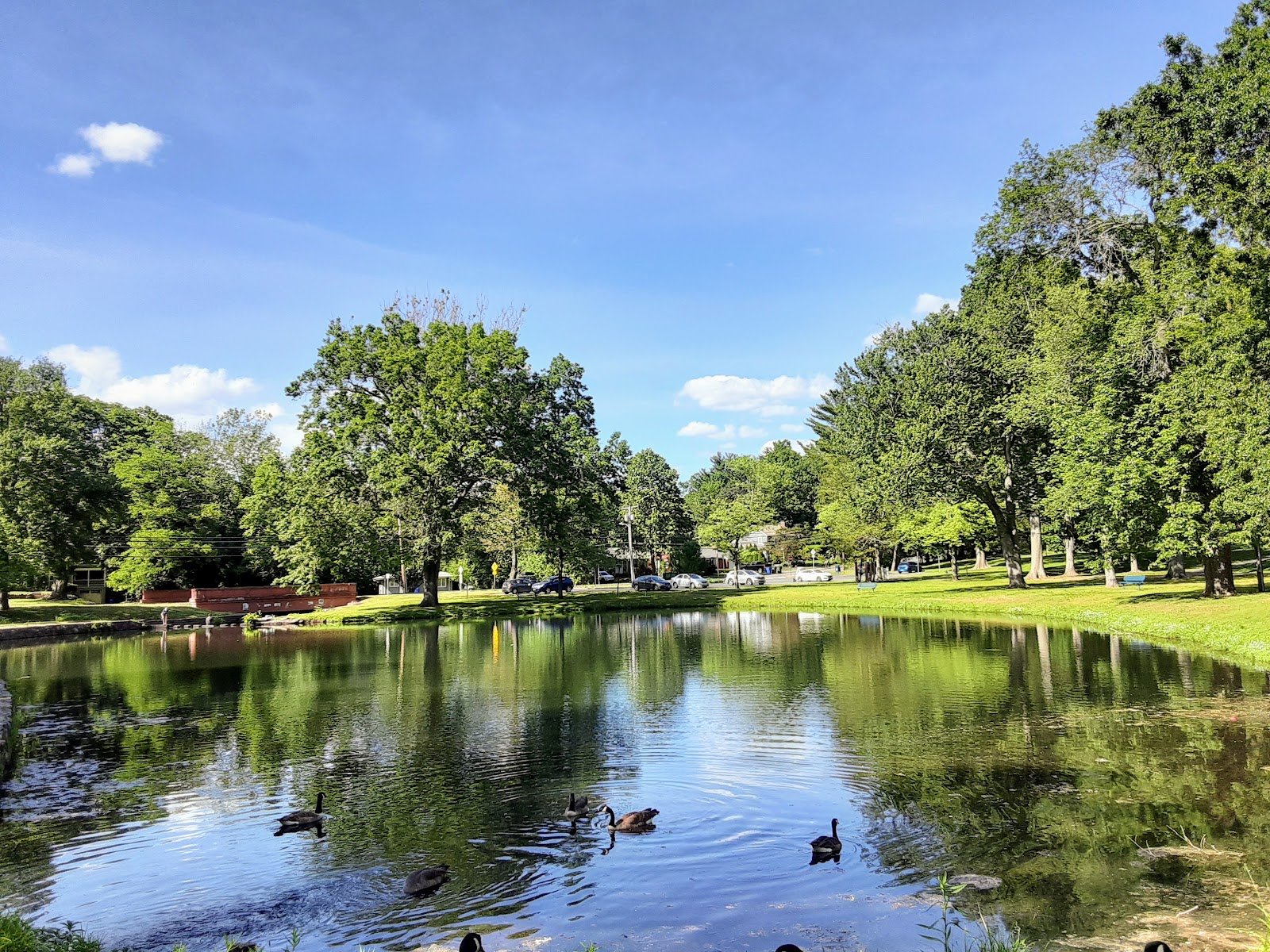 fernridge-park-and-pool-3
