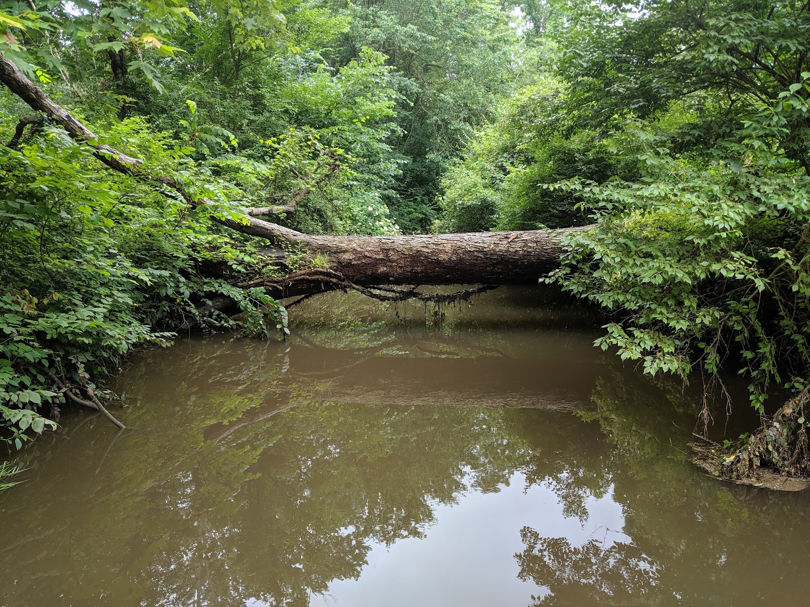 fort-island-griffiths-park-3