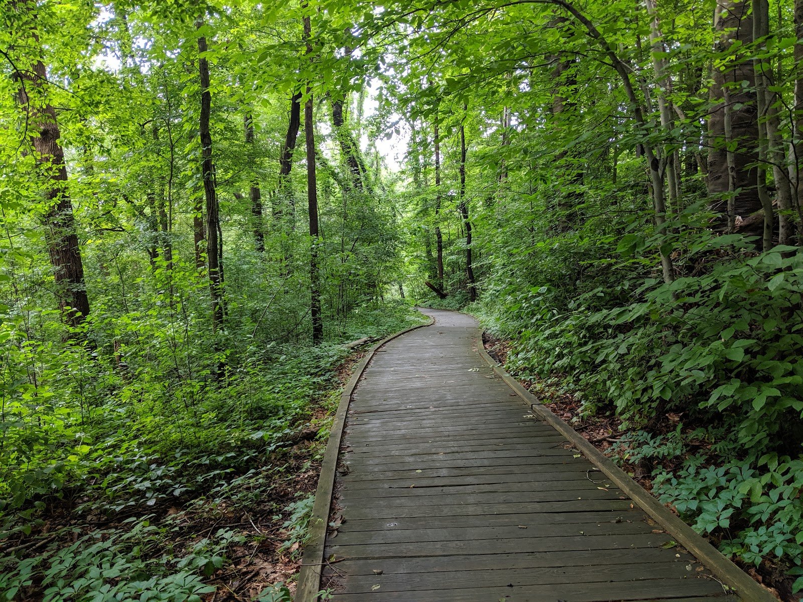 fort-island-griffiths-park-4