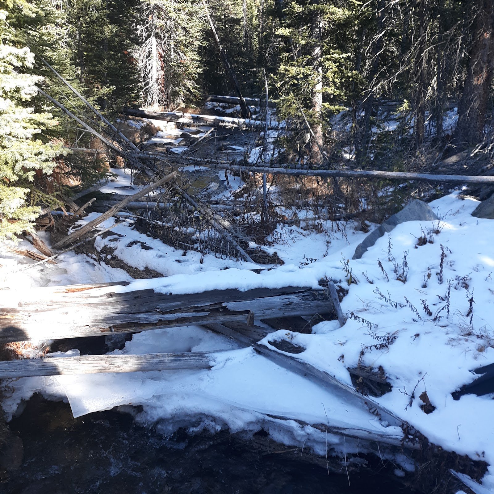 four-mile-basin-trailhead-3