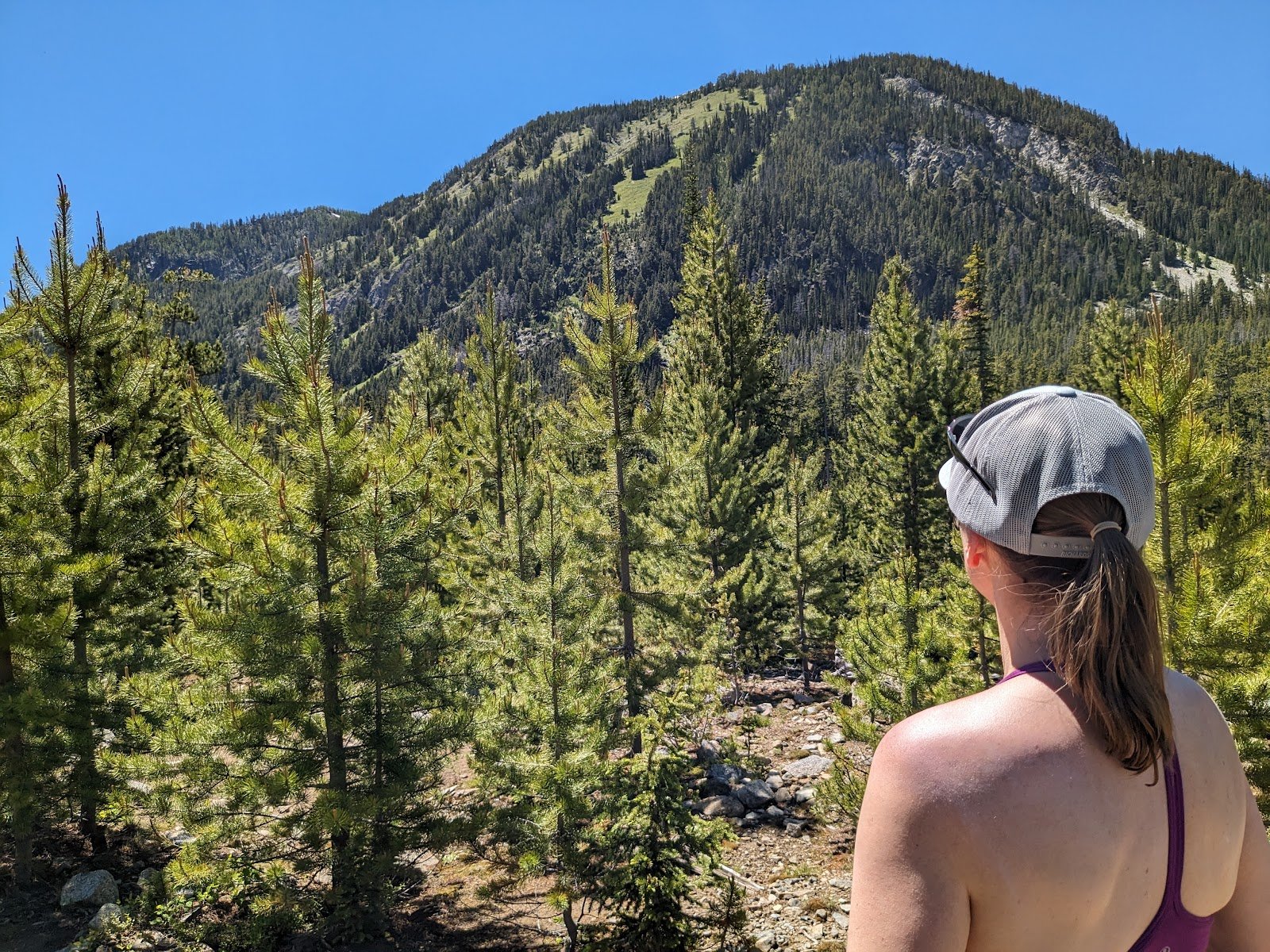 four-mile-basin-trailhead-4