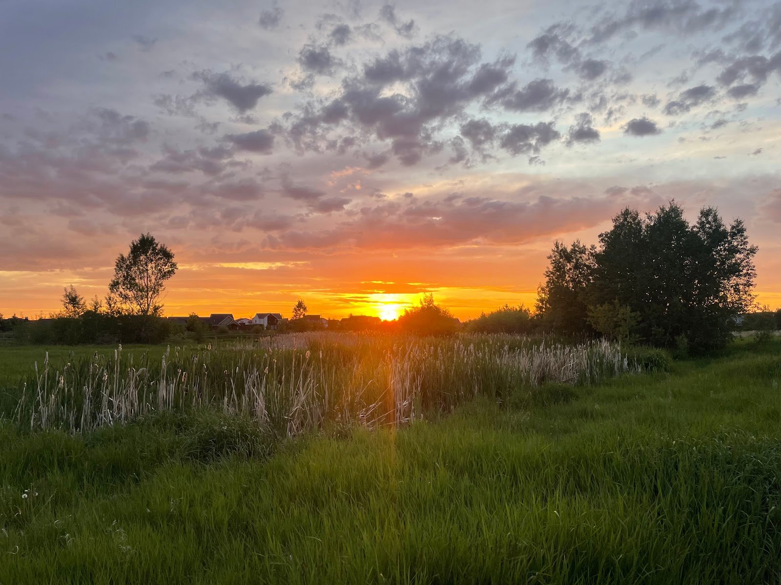 gallatin-county-regional-park-4