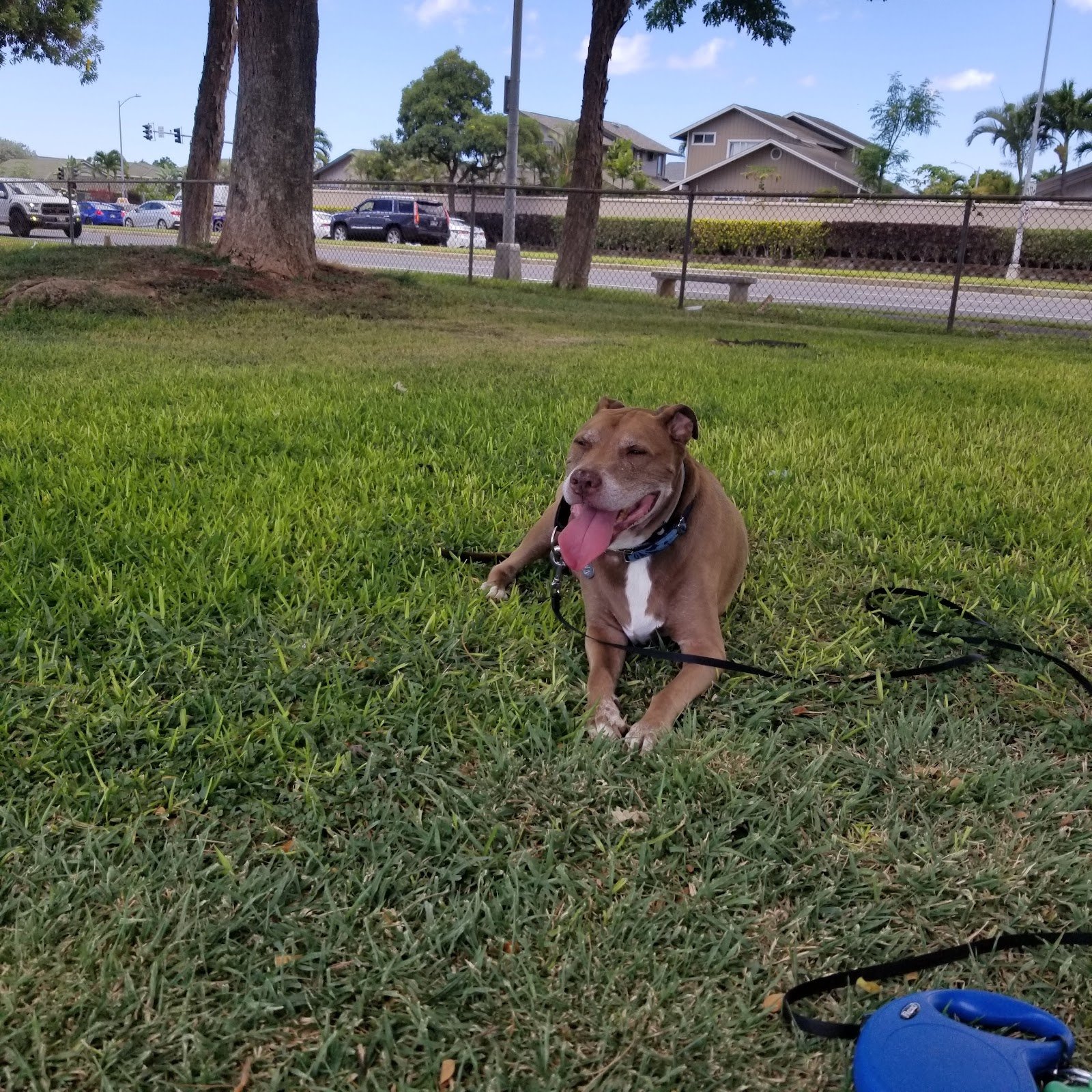 geiger-community-park-4