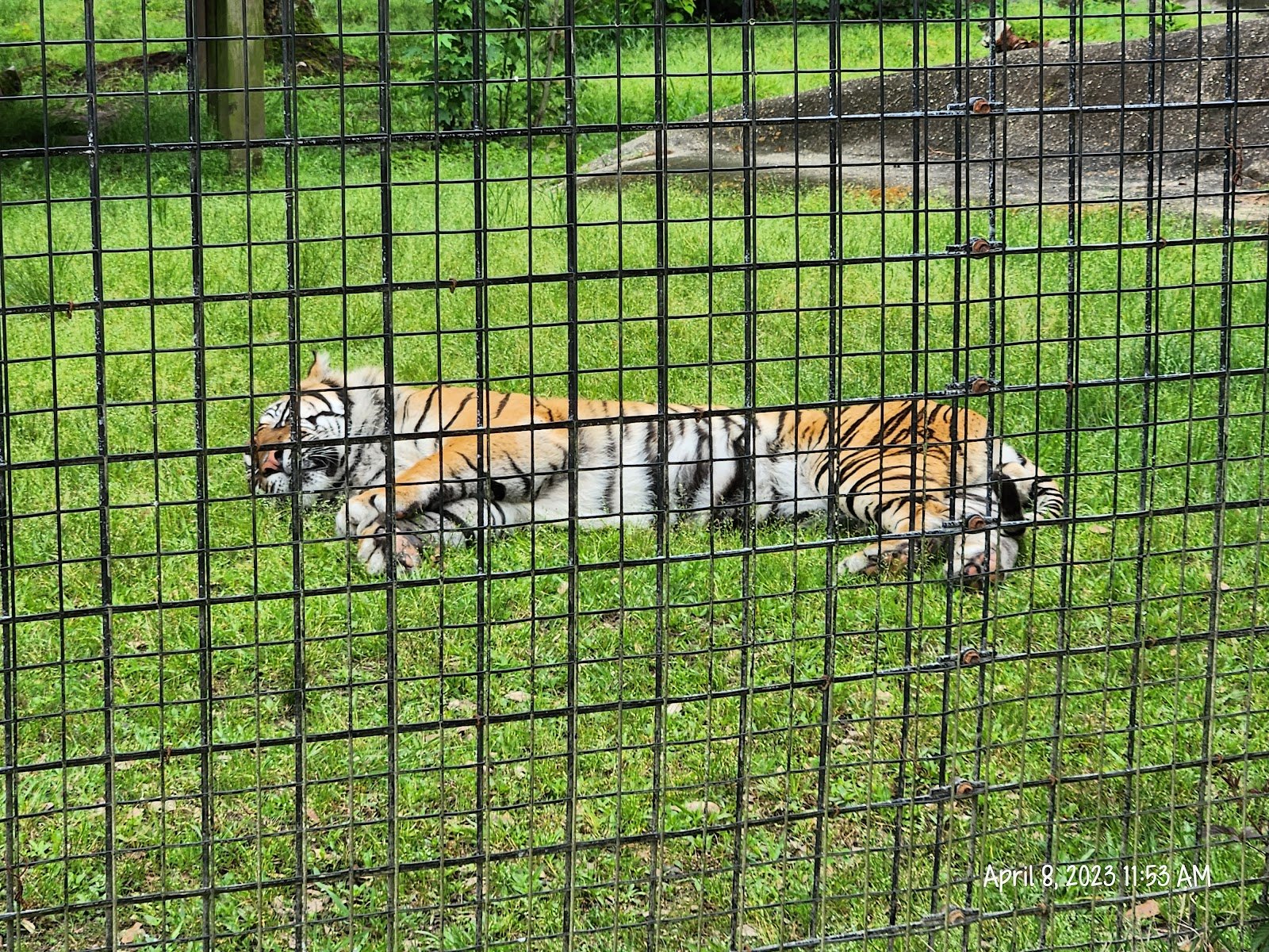 hattiesburg-zoo-3