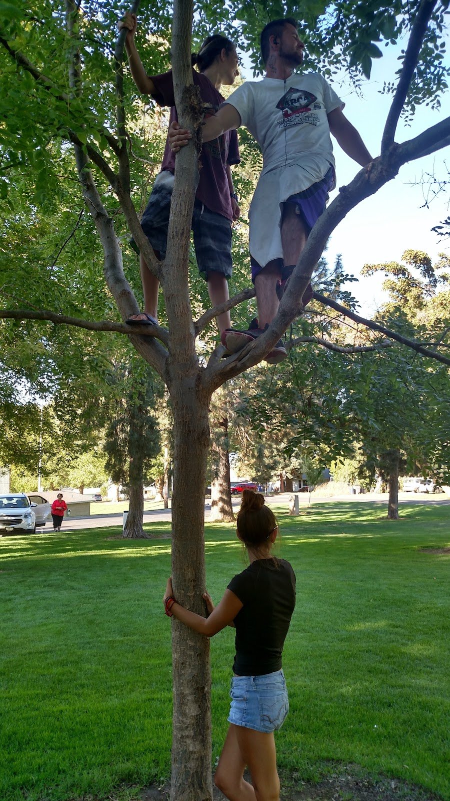 hereth-park-4
