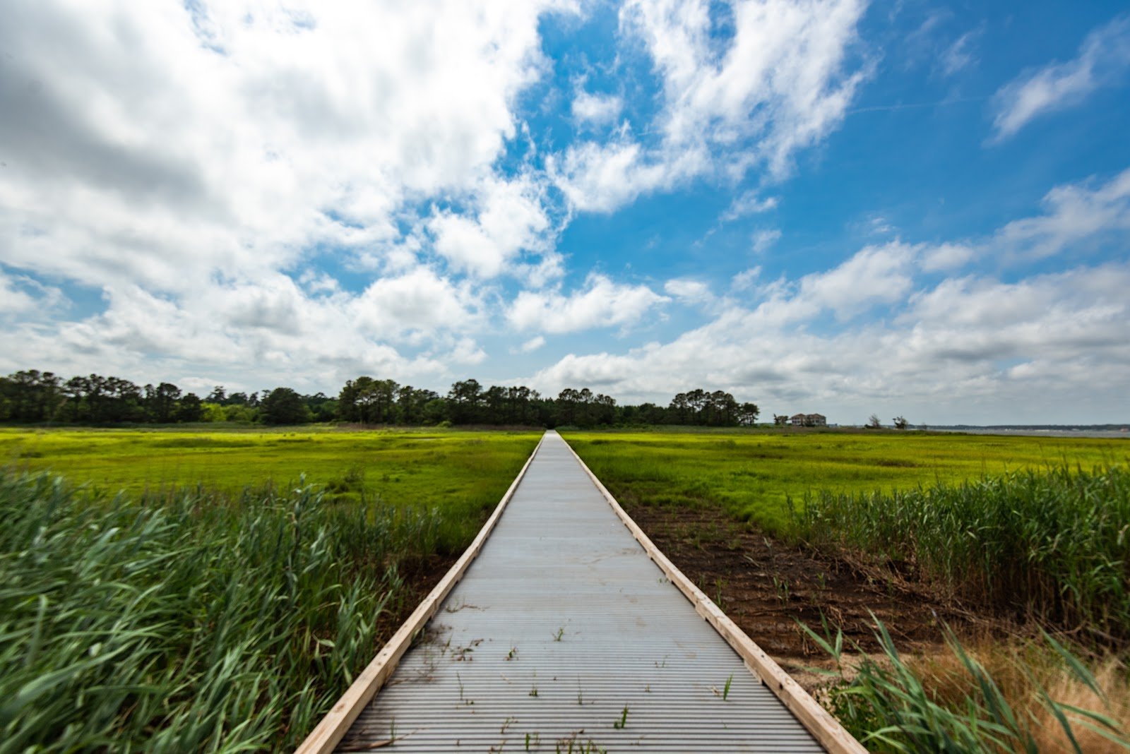holts-landing-state-park-1