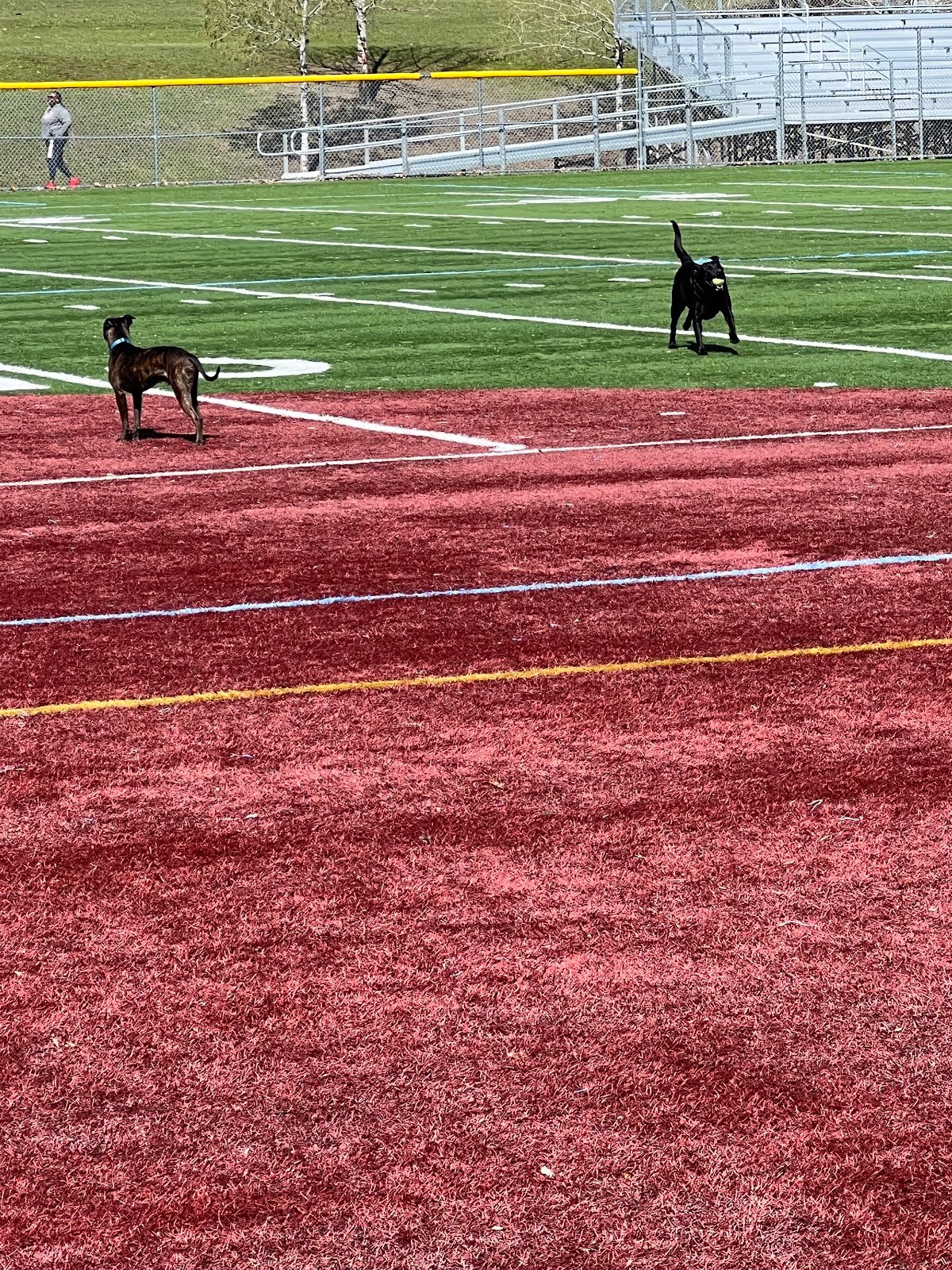 jimmy-lee-play-area-4