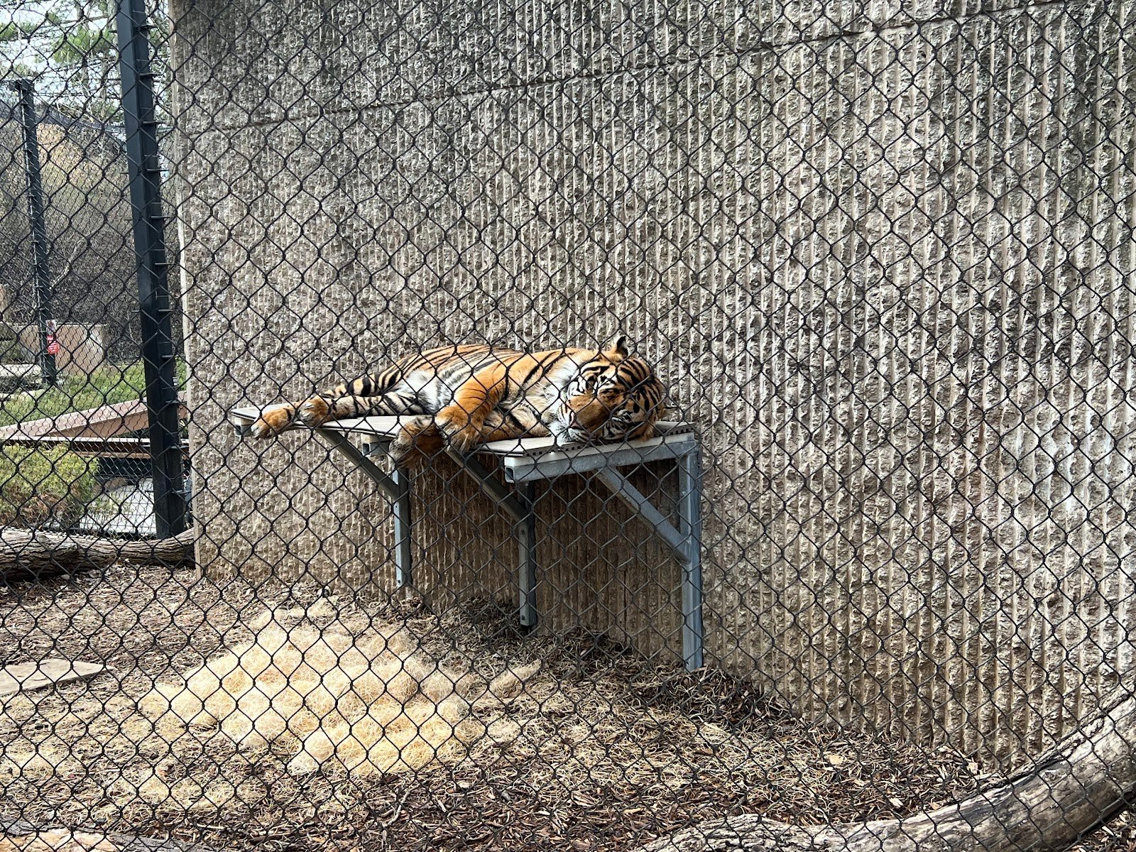 kansas-city-zoo-aquarium-4