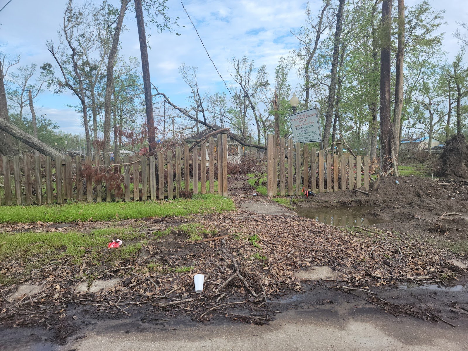 lafayette-woods-park-4