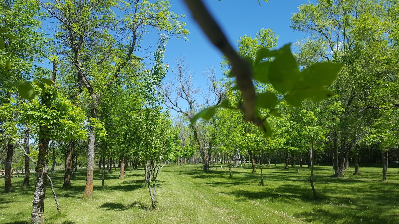 lakeside-campground-3